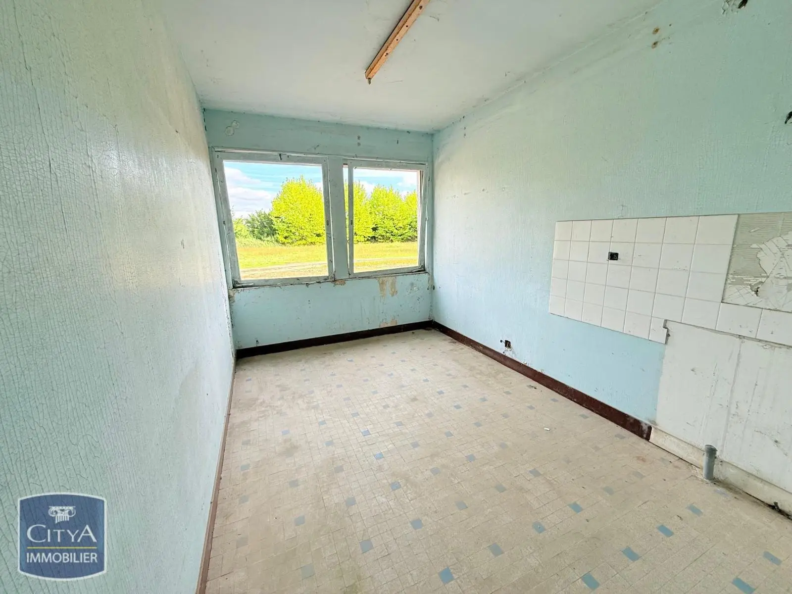 Photo 8 Terrain 50000m²
