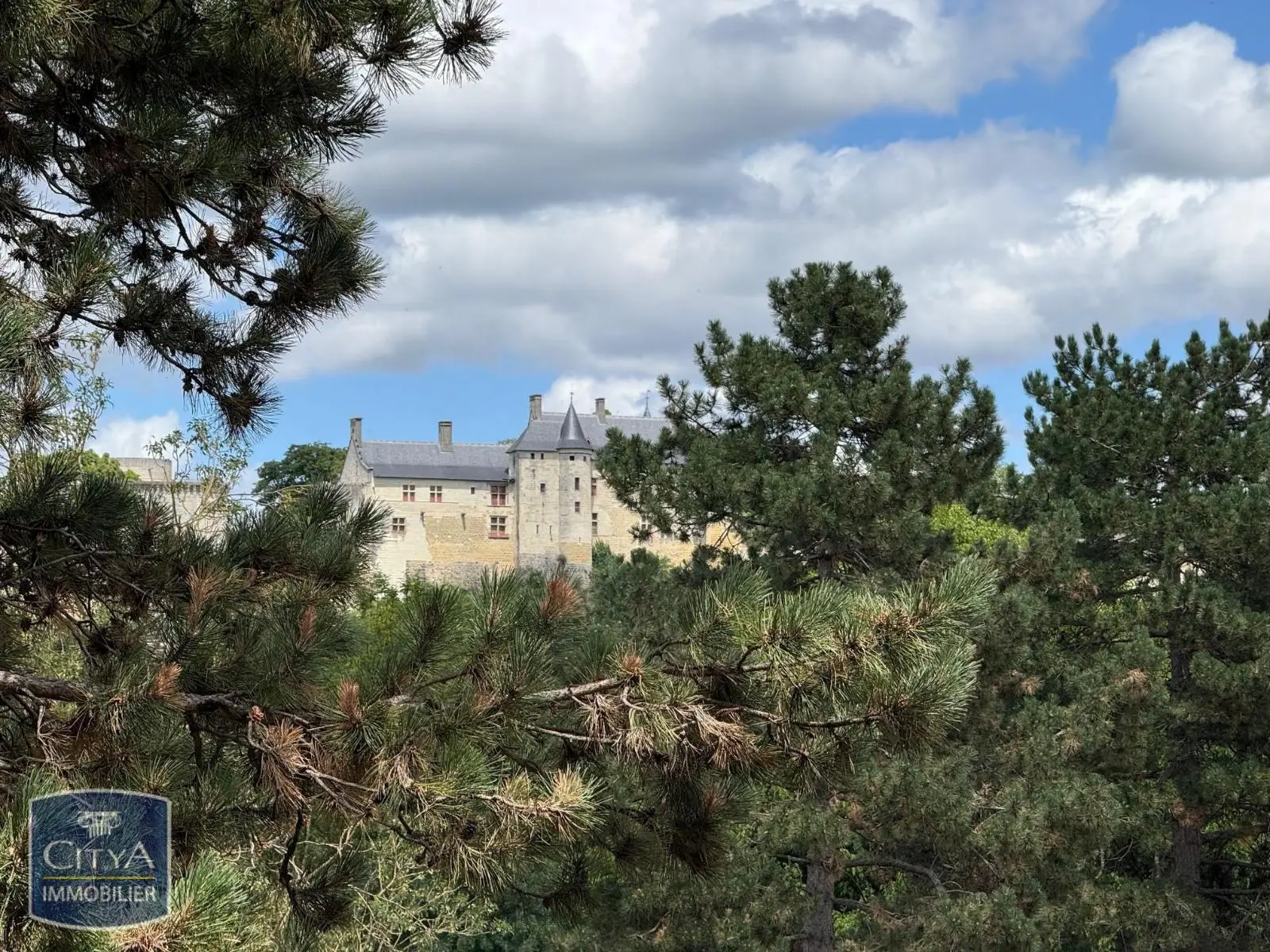 Photo 2 appartement Chinon