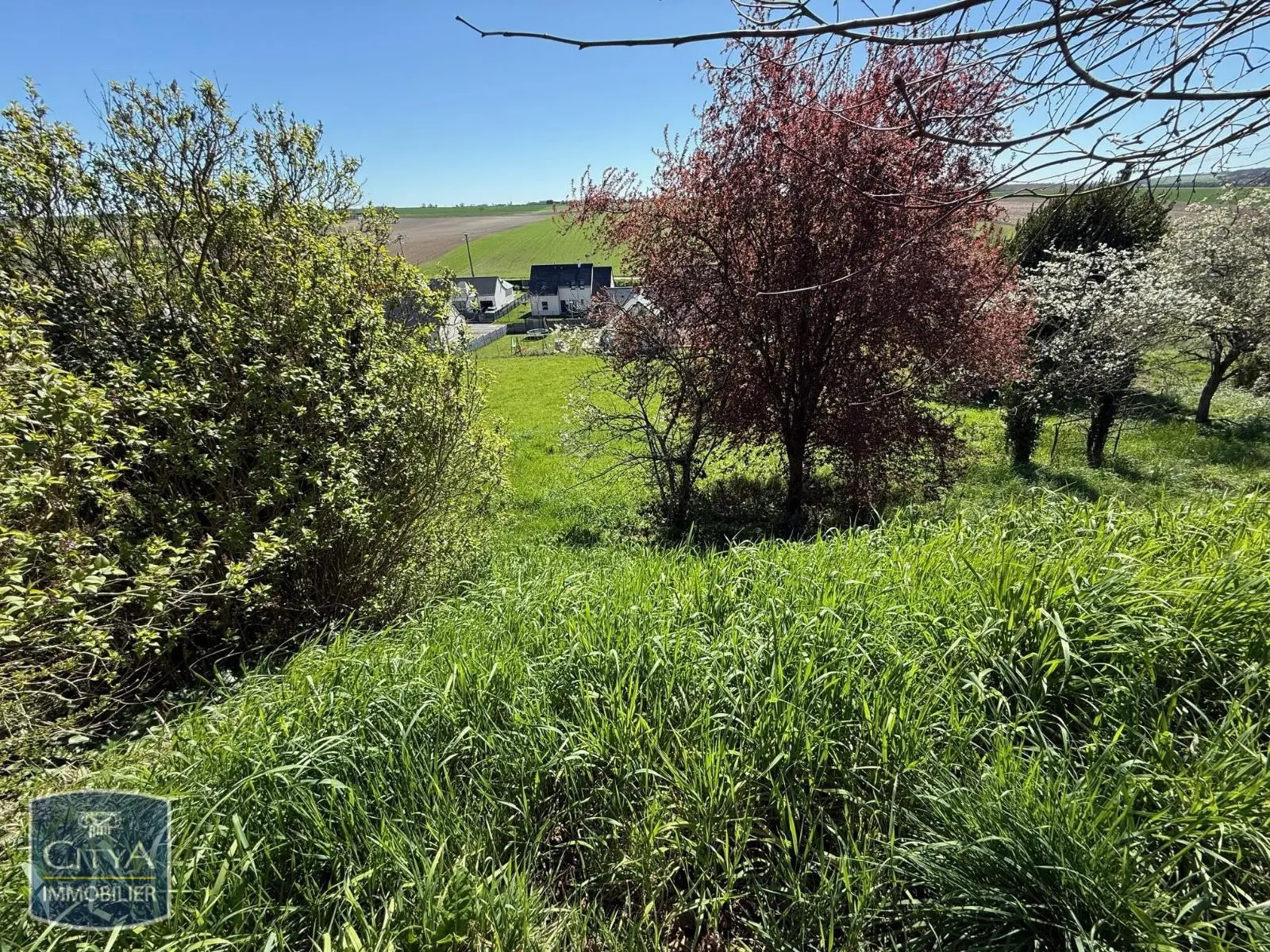 Photo 3 Terrain 1981m²