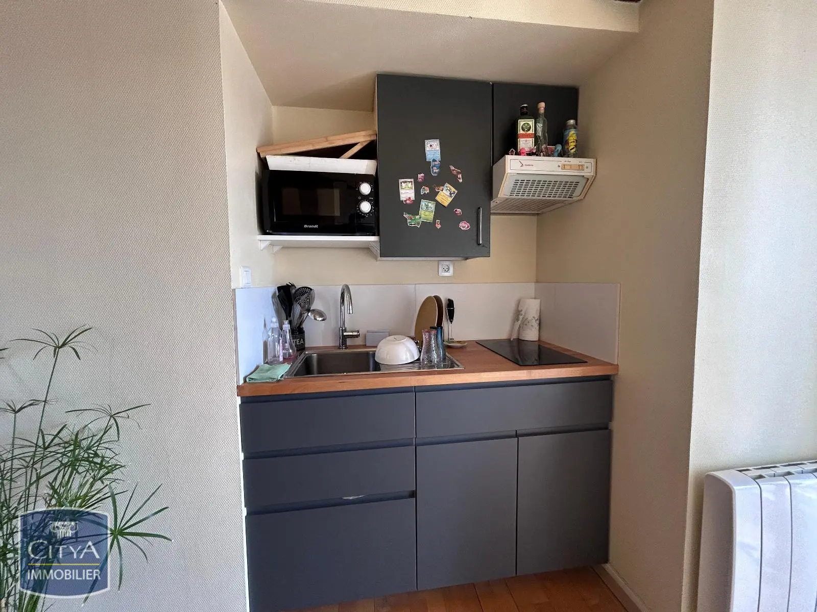Photo 4 Appartement 2 pièces 30.48m²