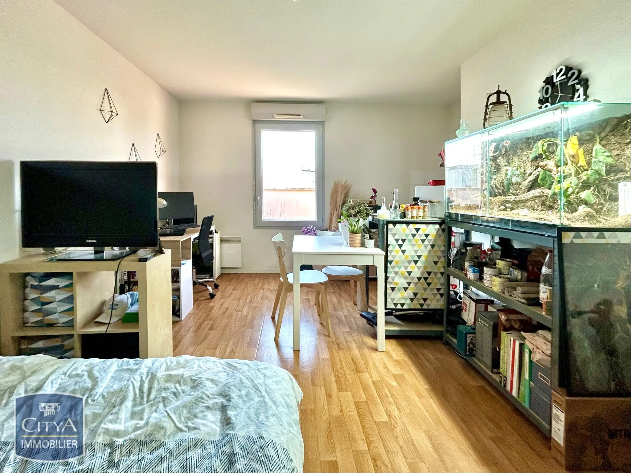 Photo 1 Appartement 1 pièce 30.15m²