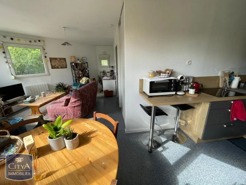 Photo 2 appartement Le Mans