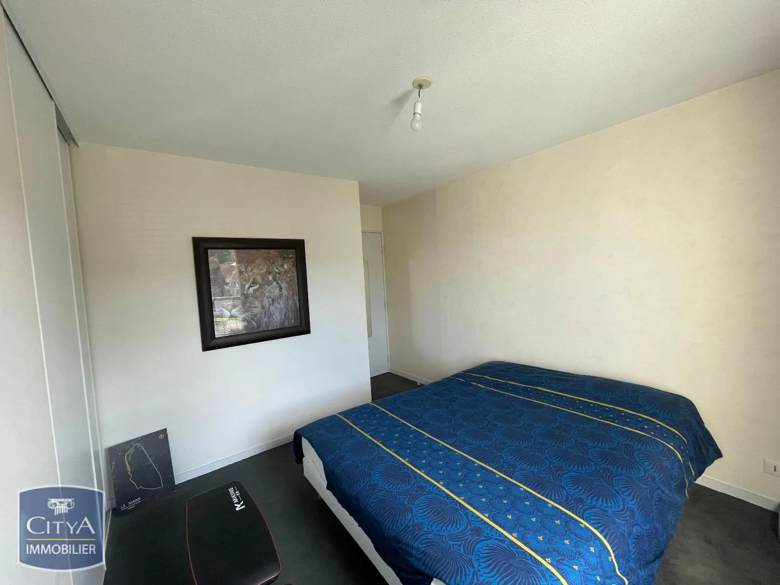 Photo 5 appartement Allonnes