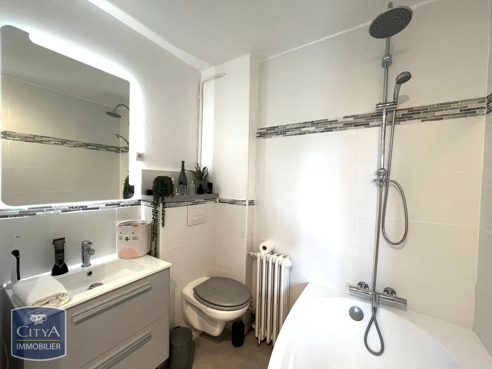 Photo 5 appartement Le Mans