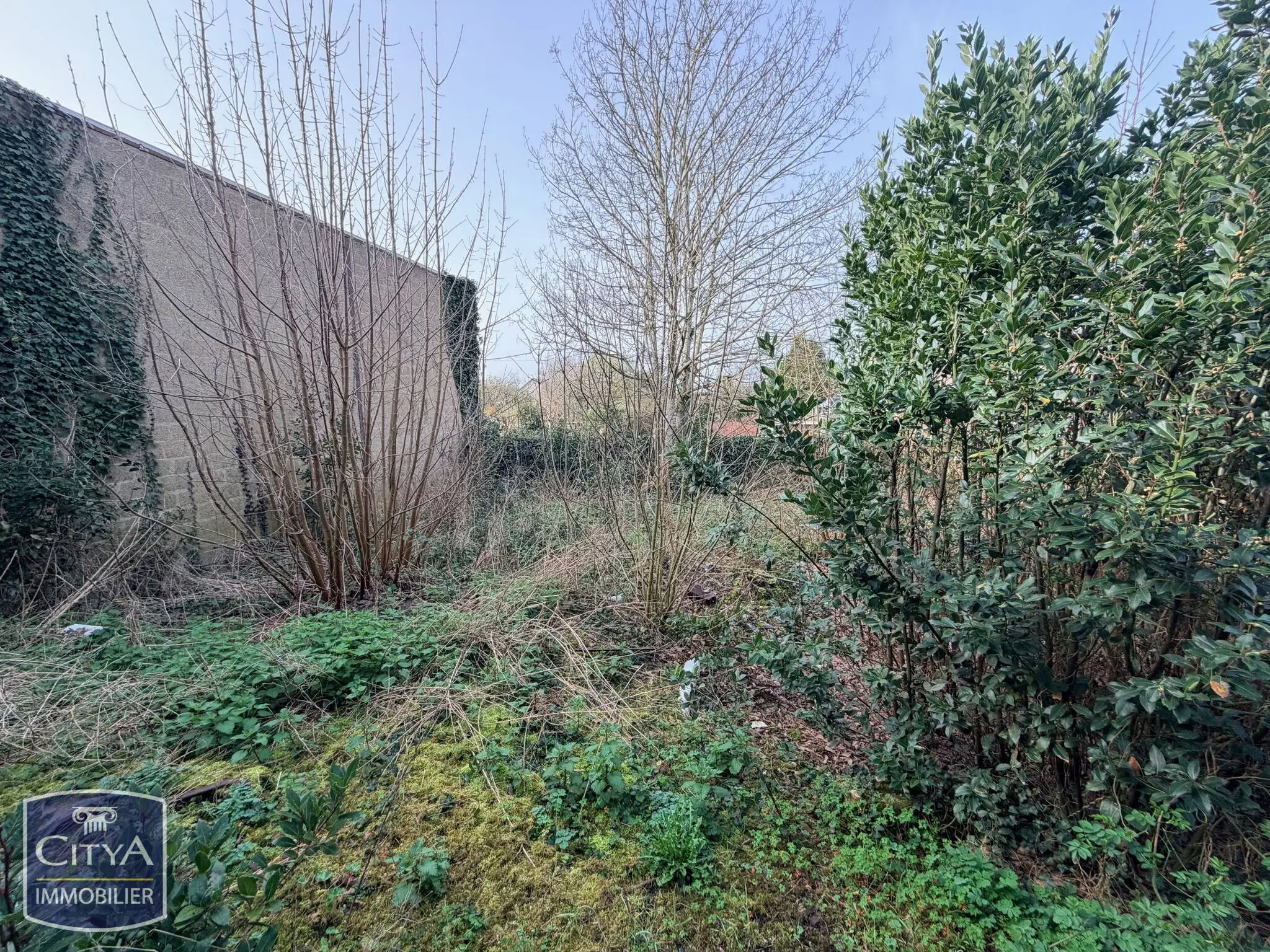 Photo 6 Local Commercial 316m²