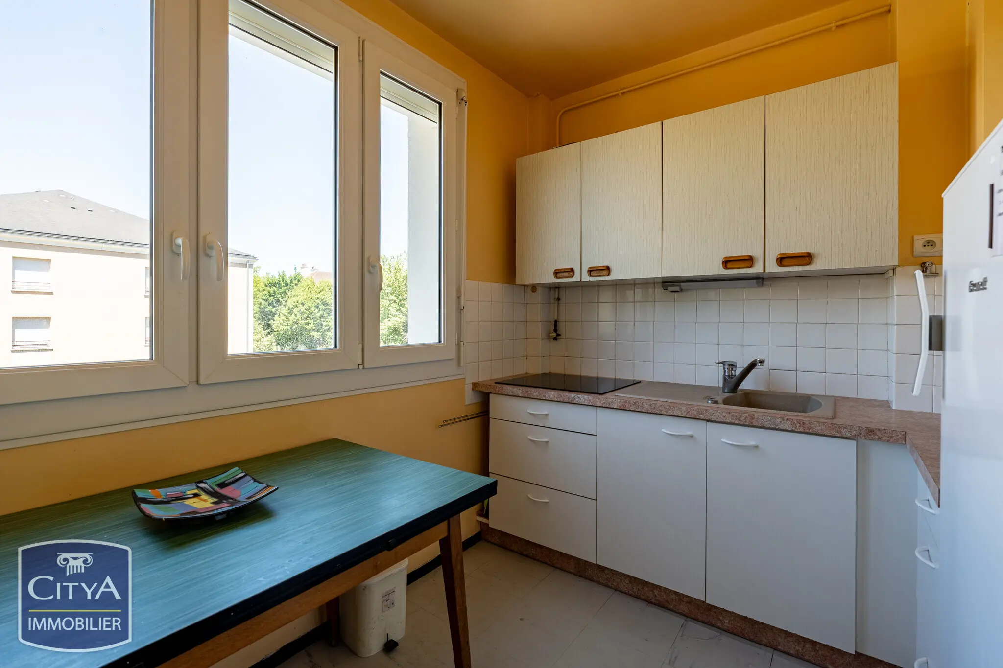 Photo 8 appartement Le Mans
