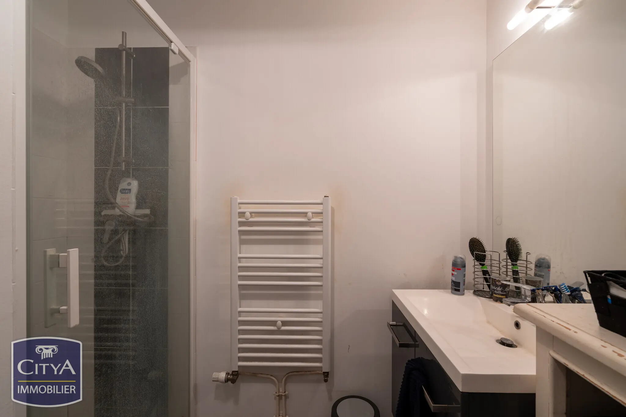 Photo 7 appartement Le Mans