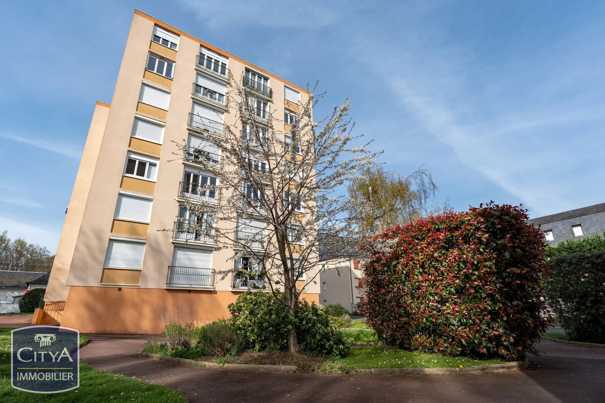 Photo 6 appartement Le Mans