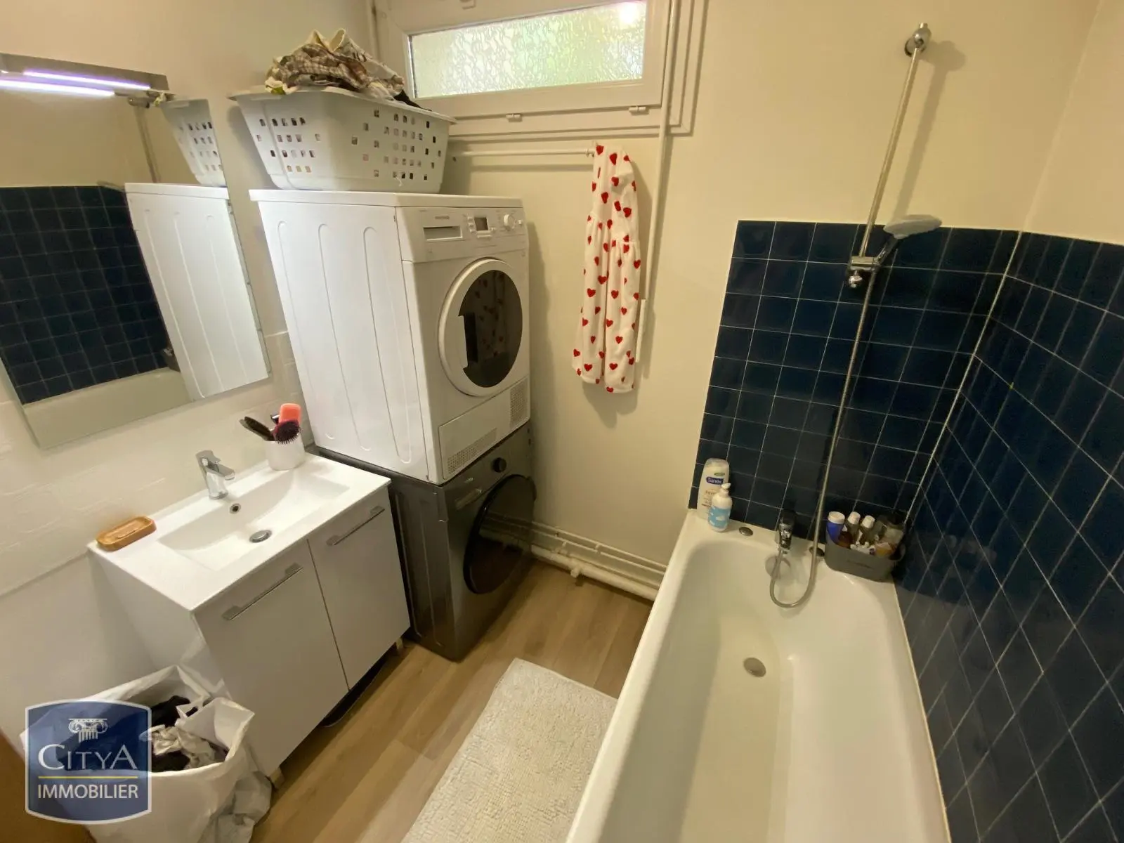 Photo 8 appartement Le Mans