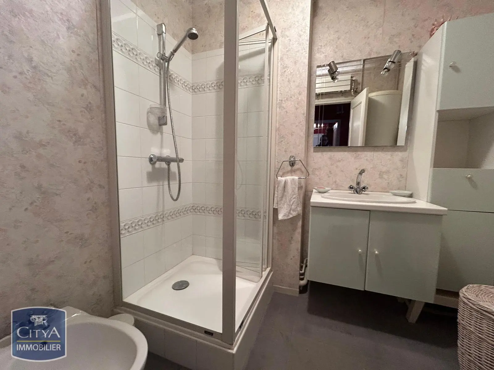 Photo 5 appartement Le Mans
