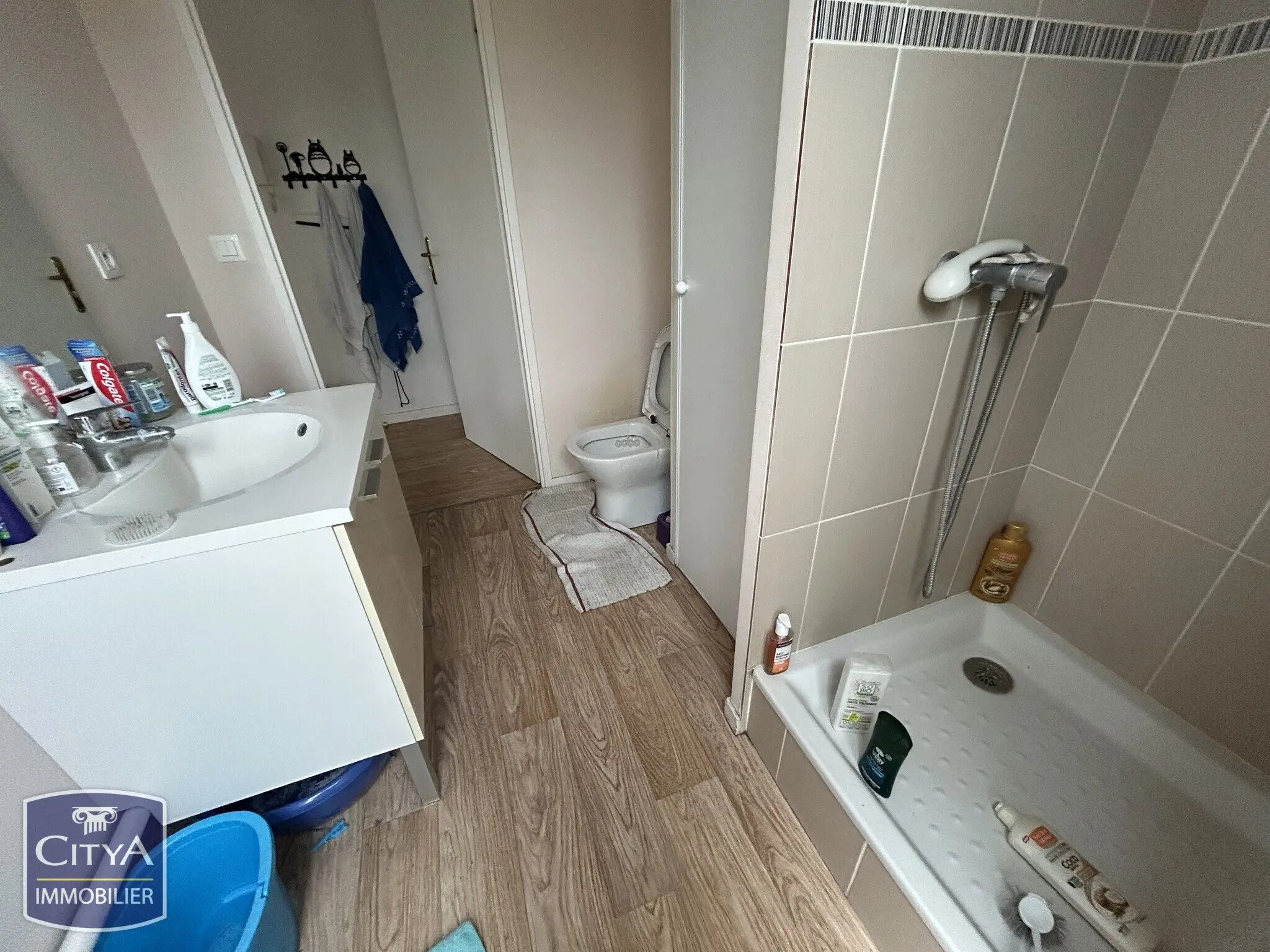 Photo 5 appartement Allonnes