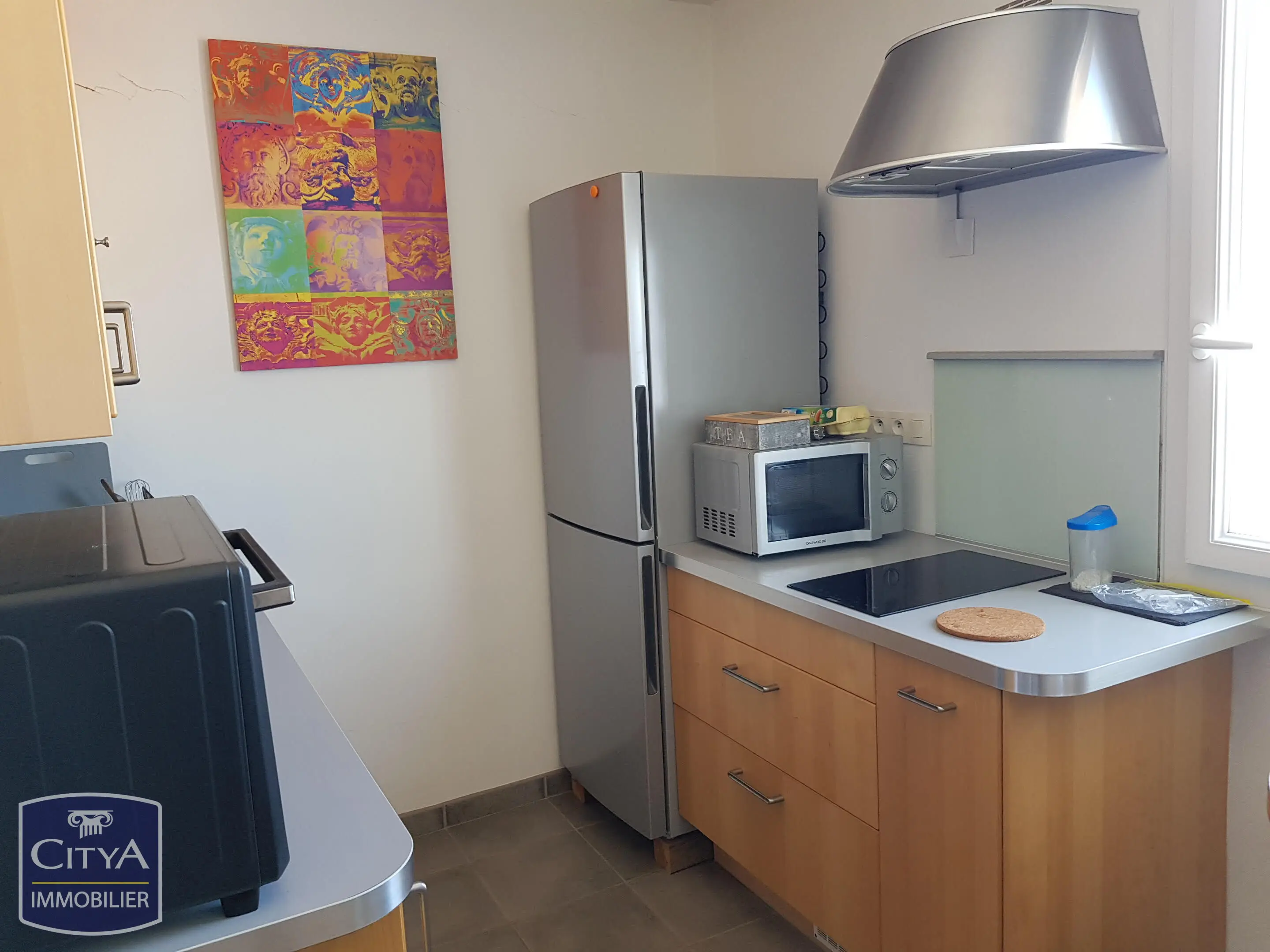 Photo 3 appartement Le Mans