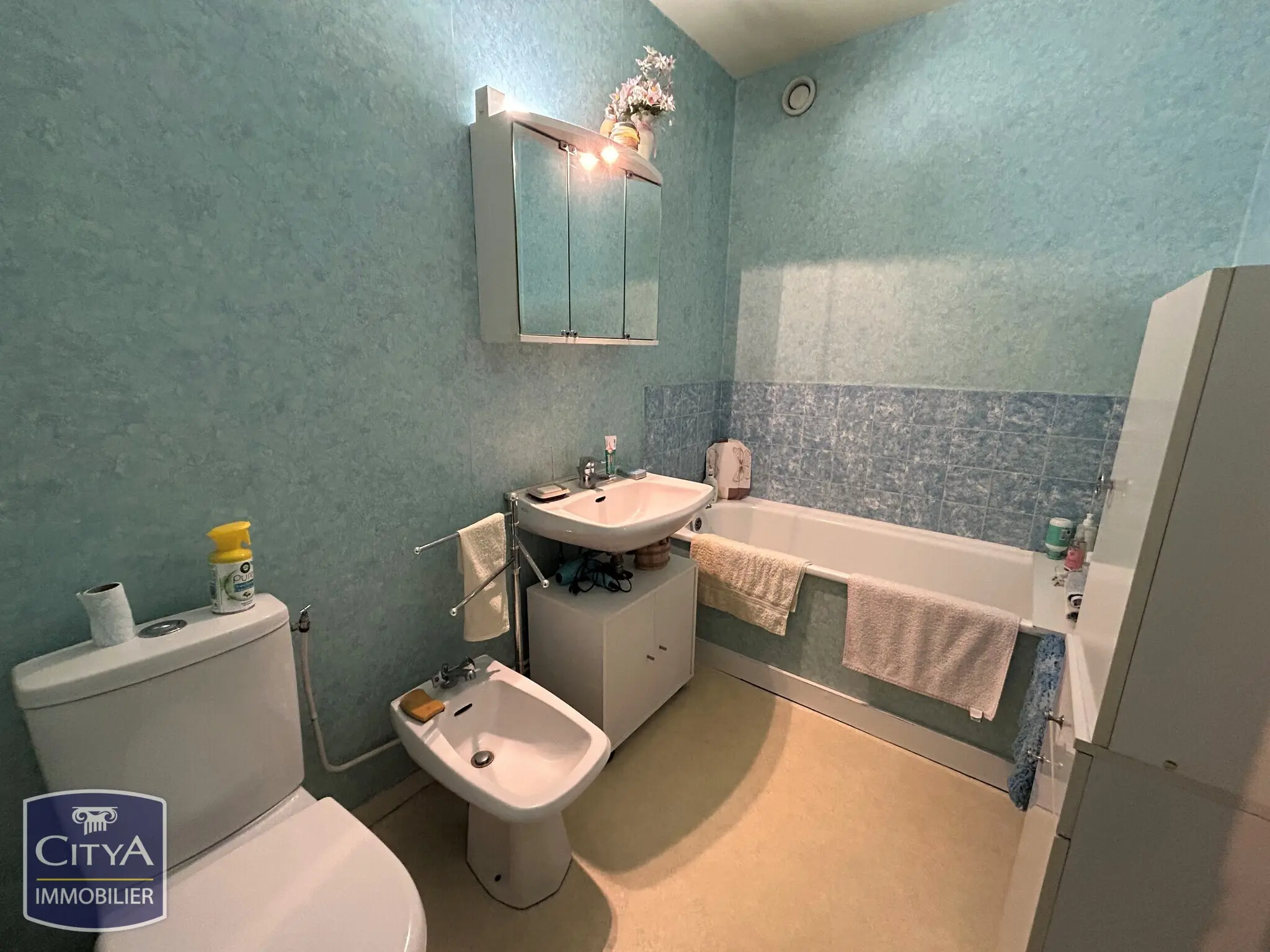 Photo 4 appartement Le Mans