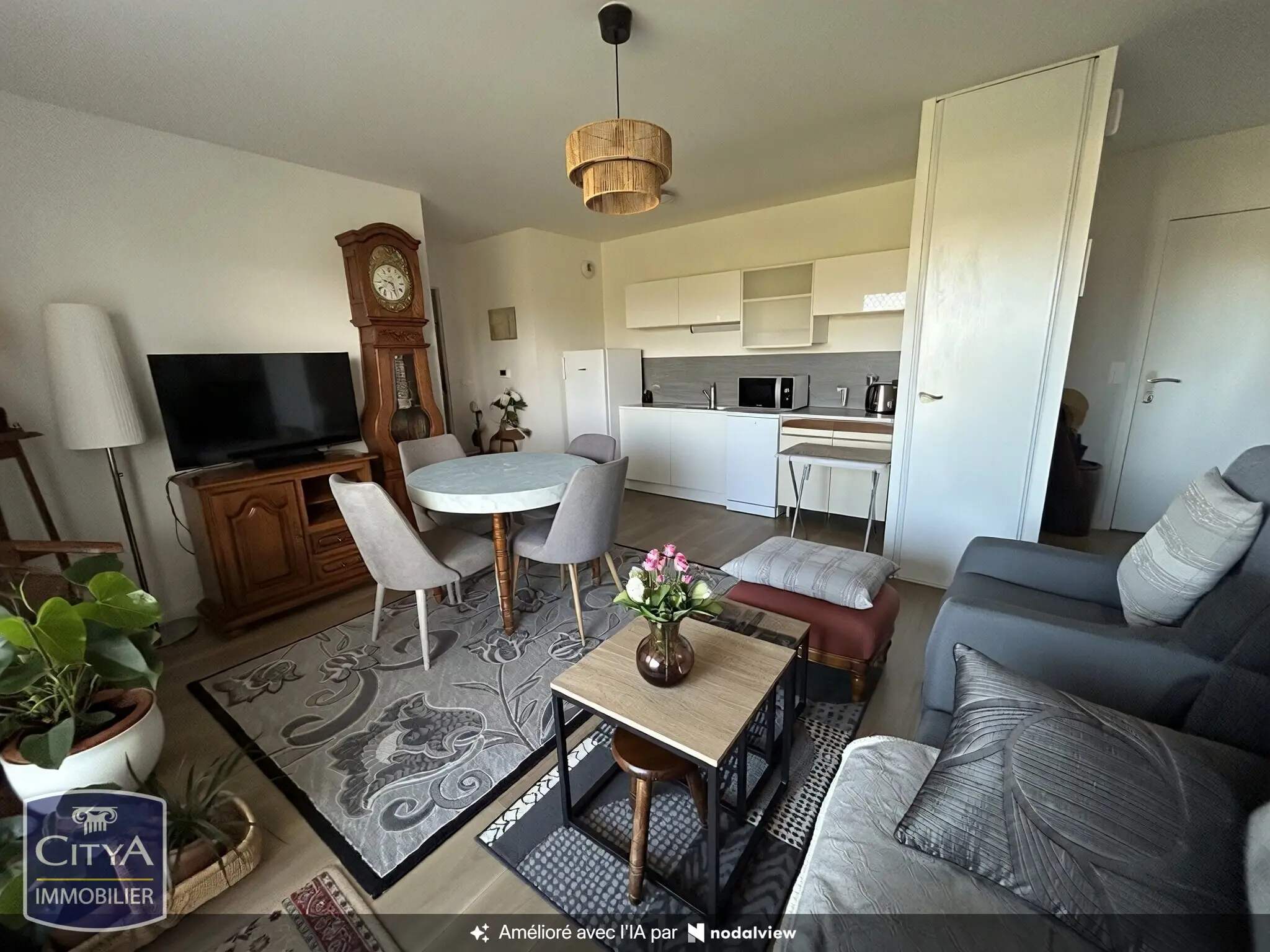 Photo 3 appartement Le Mans