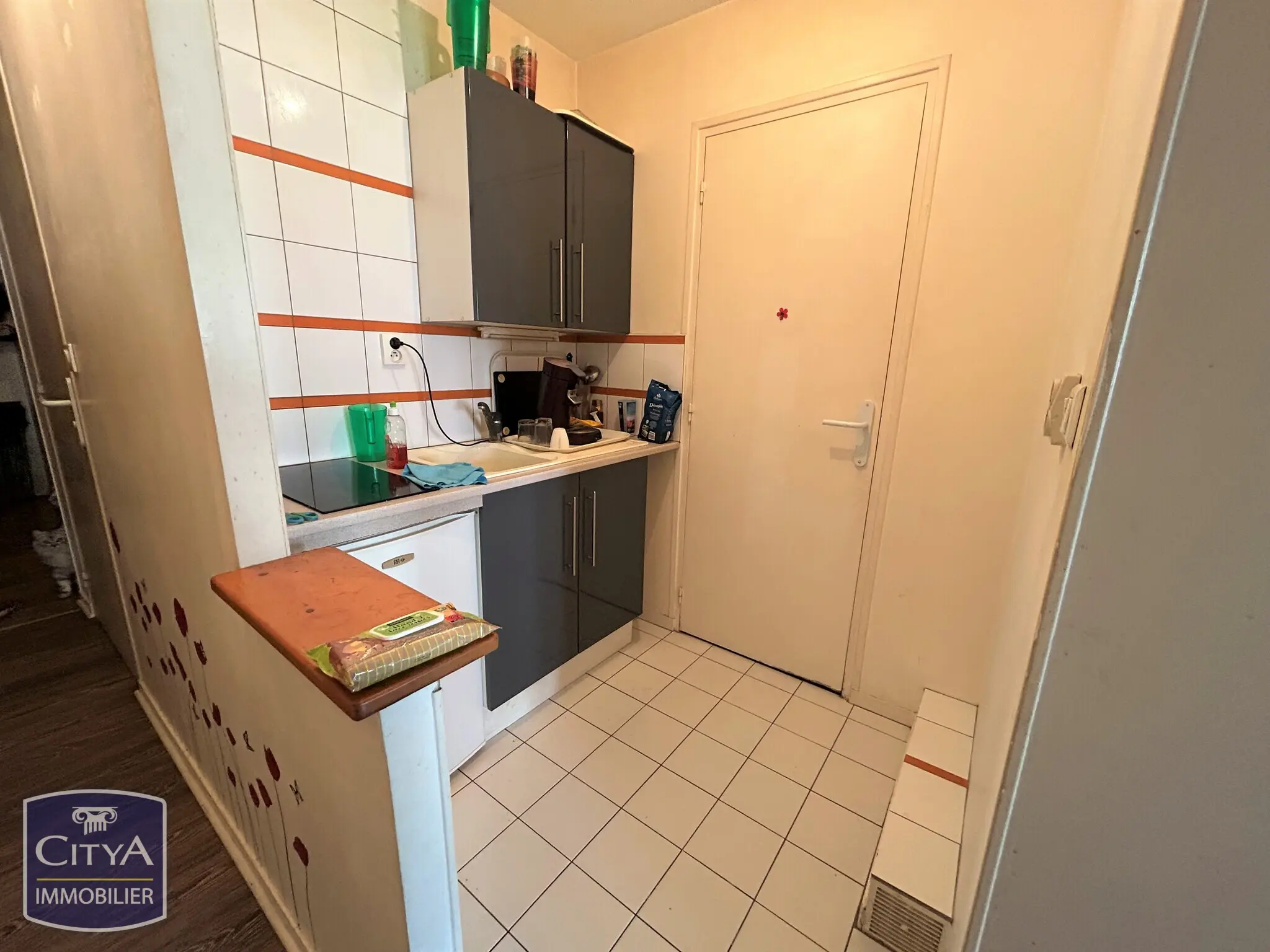 Photo 3 appartement Le Mans