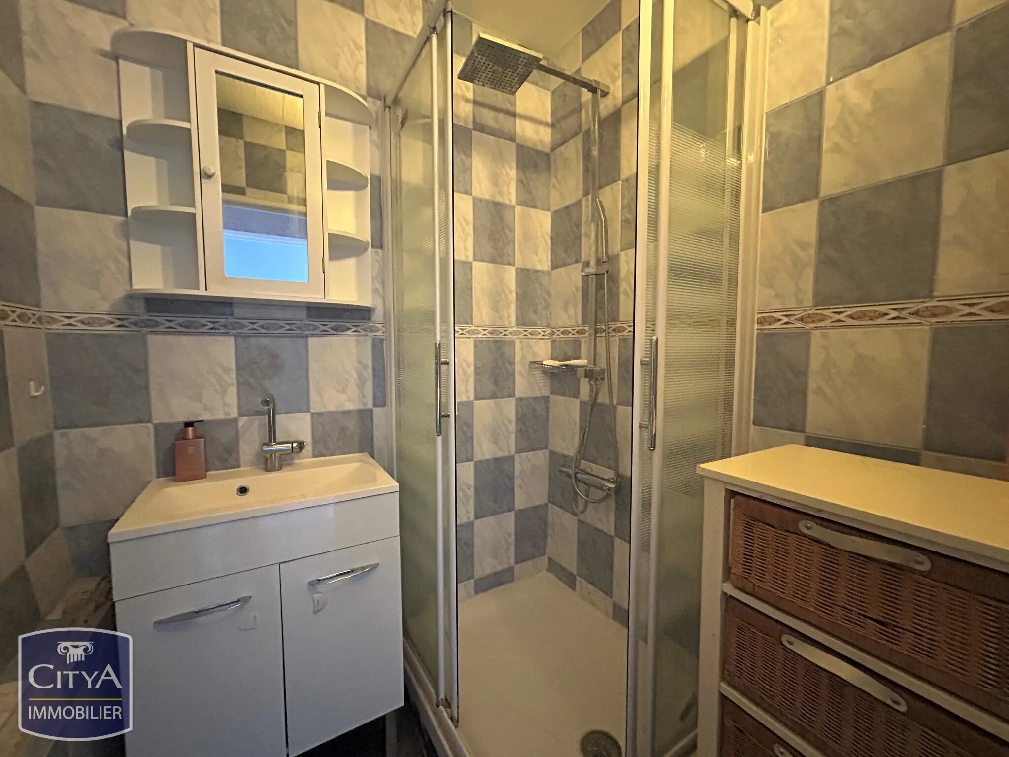 Photo 5 appartement Le Mans