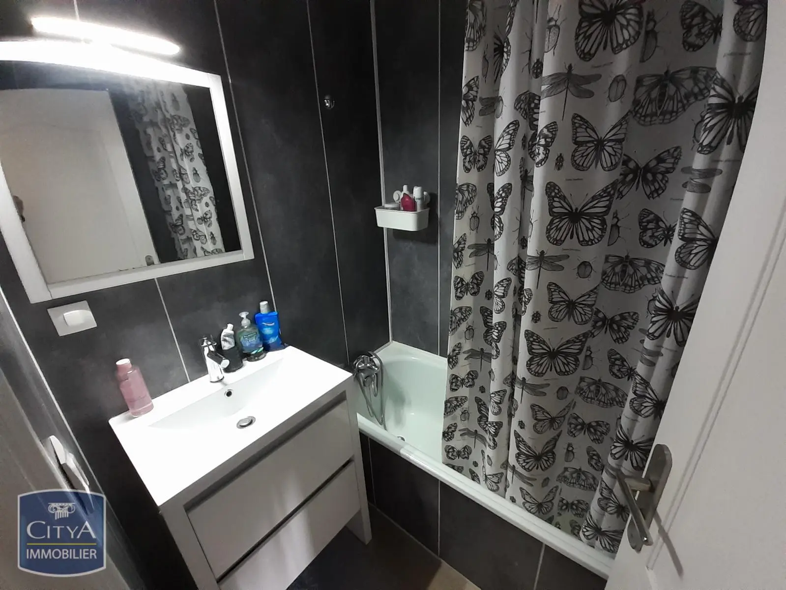 Photo 2 appartement Le Mans