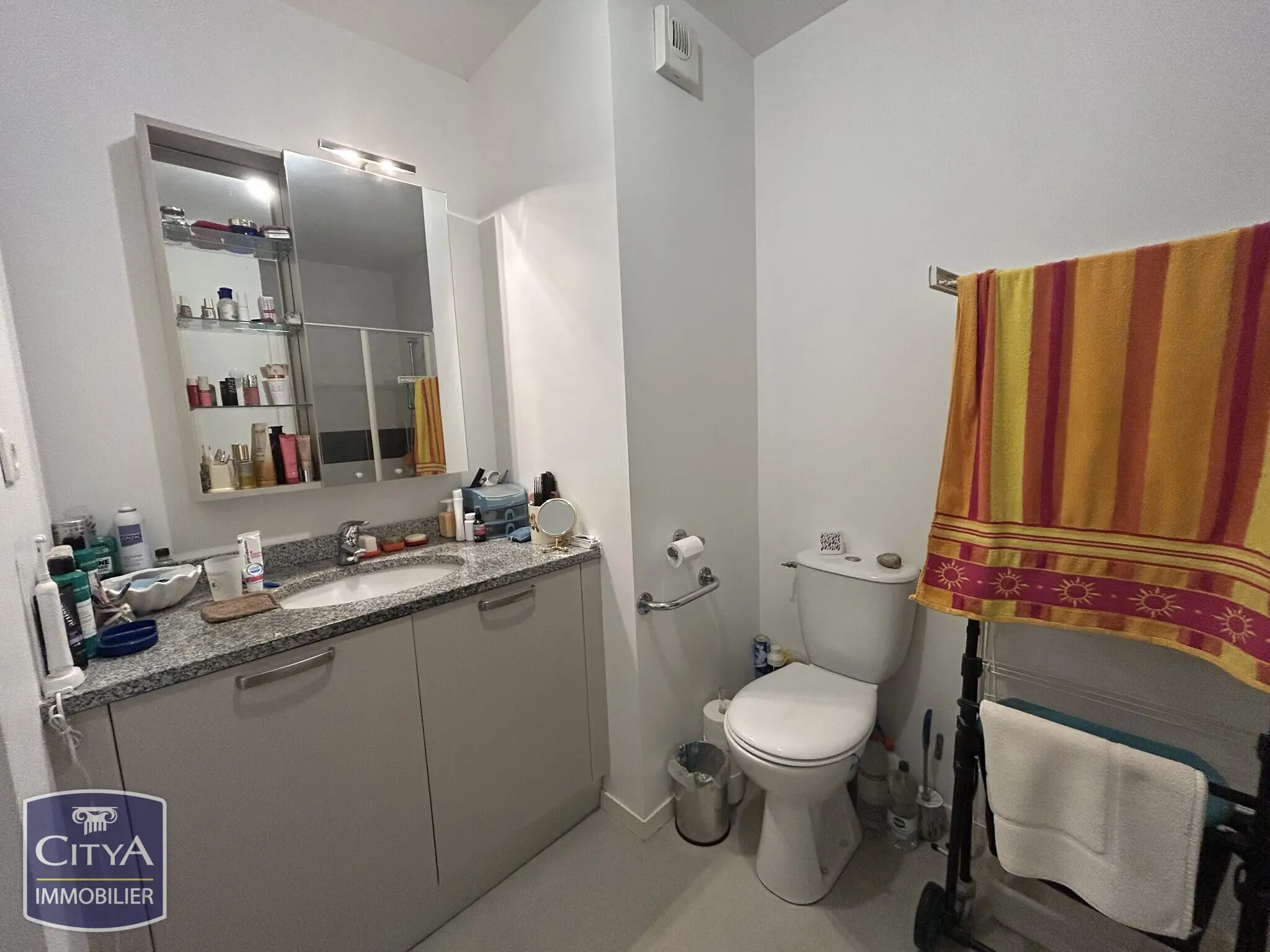 Photo 8 appartement Le Mans