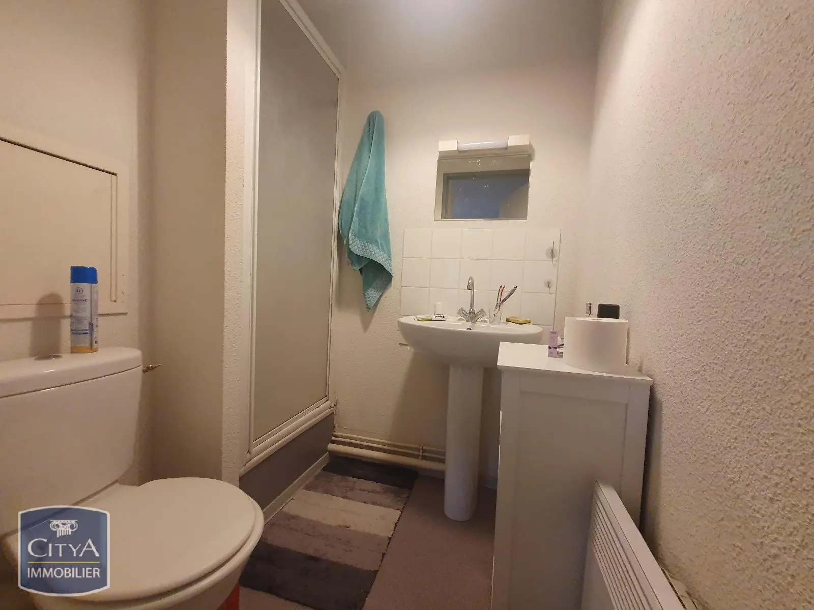 Photo 4 Appartement 1 pièce 20.51m²