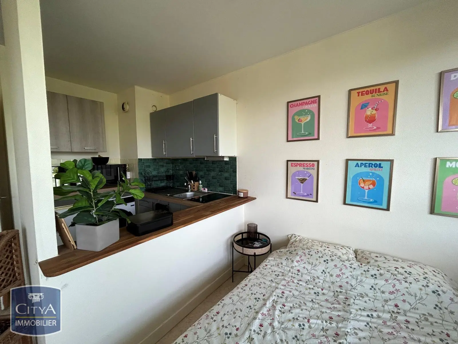 Photo 5 appartement Le Mans