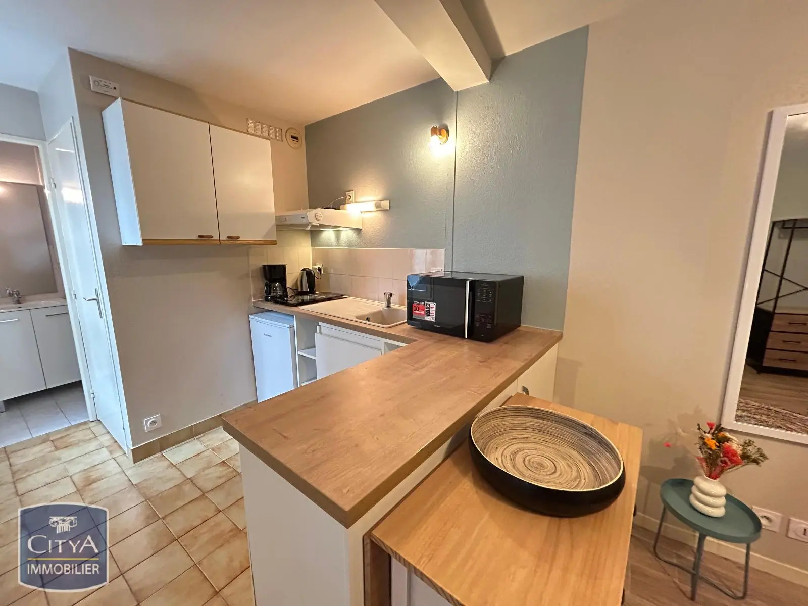 Photo 3 Appartement 1 pièce 22.28m²