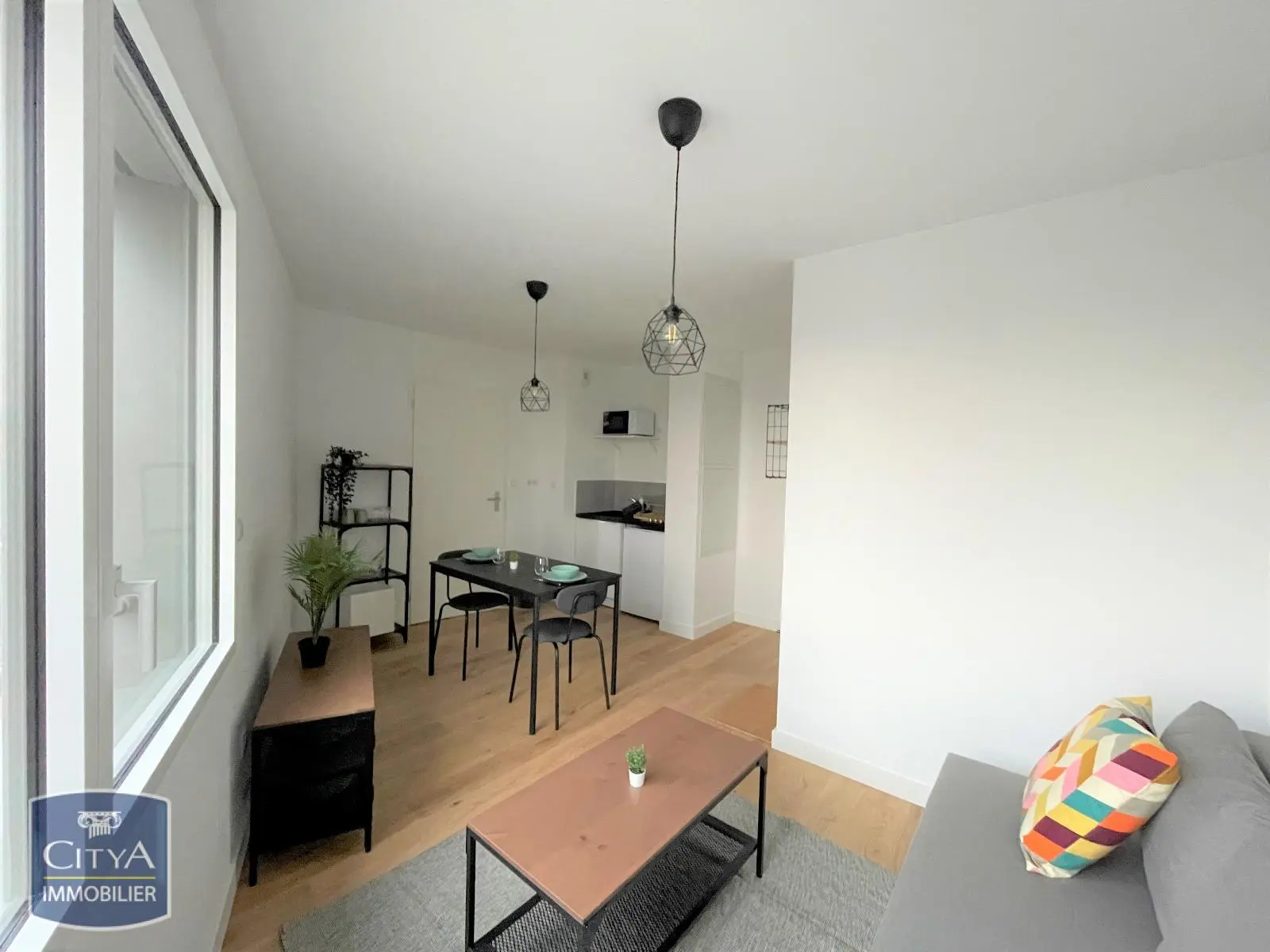 Photo 2 Appartement 1 pièce 24.3m²