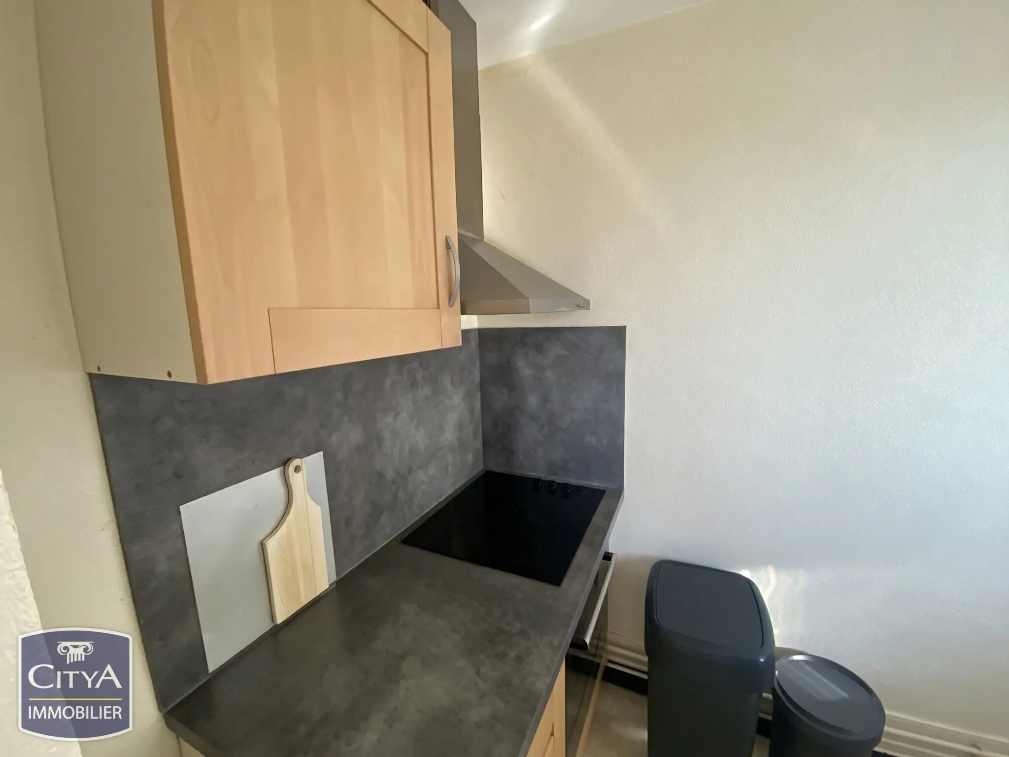Photo 3 Appartement 2 pièces 43.79m²