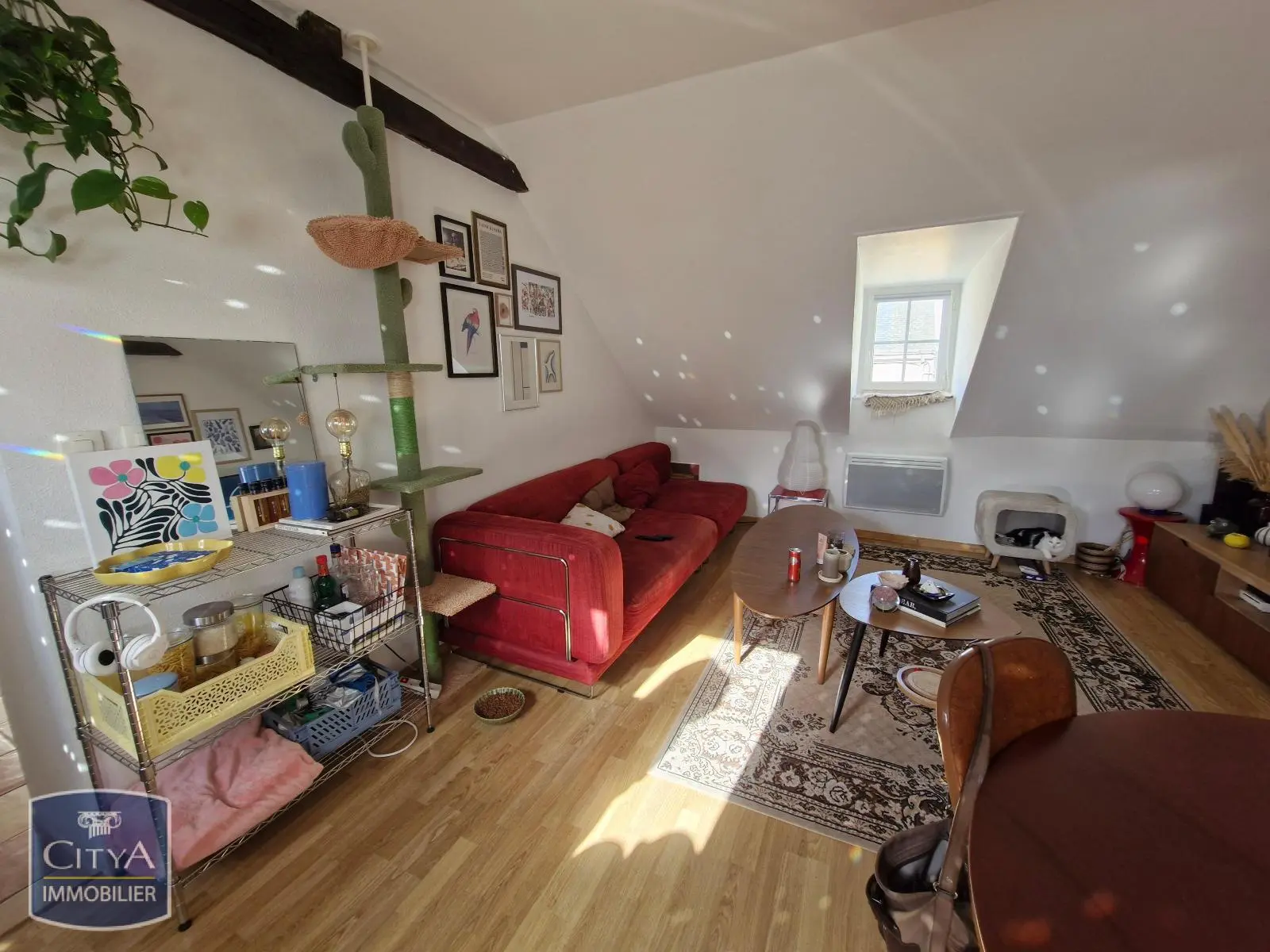 Photo 8 Immeuble 240m²