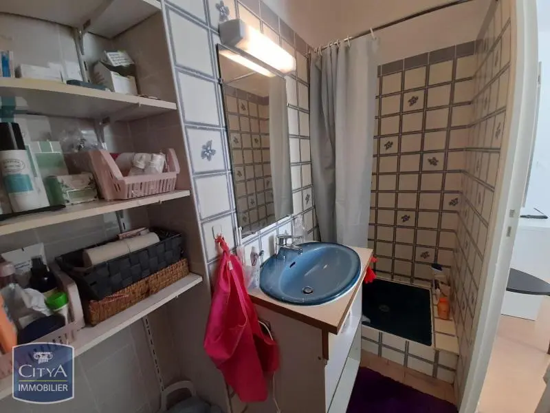 Photo 3 Appartement 1 pièce 17.41m²