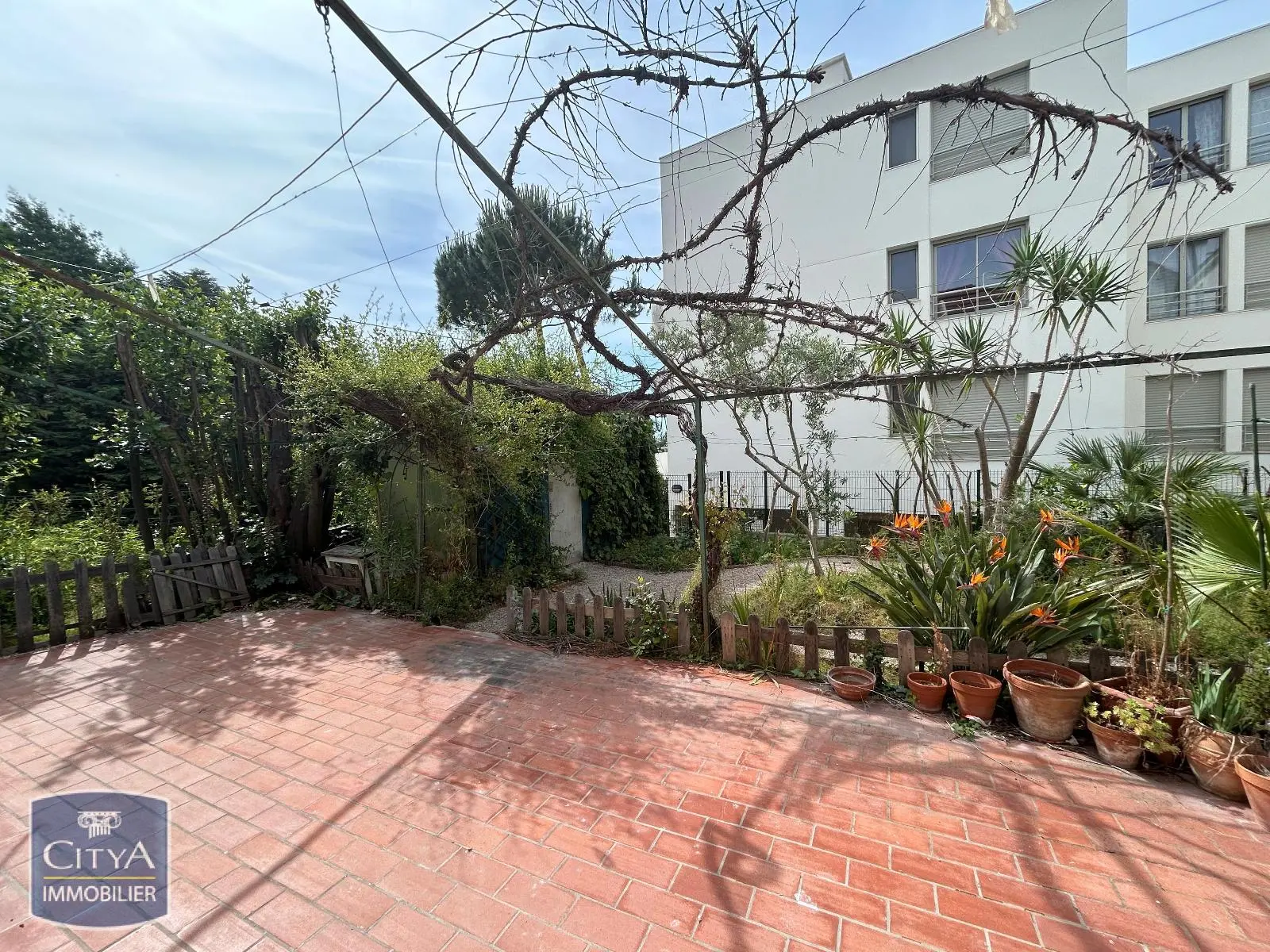 Photo 9 appartement Cannes