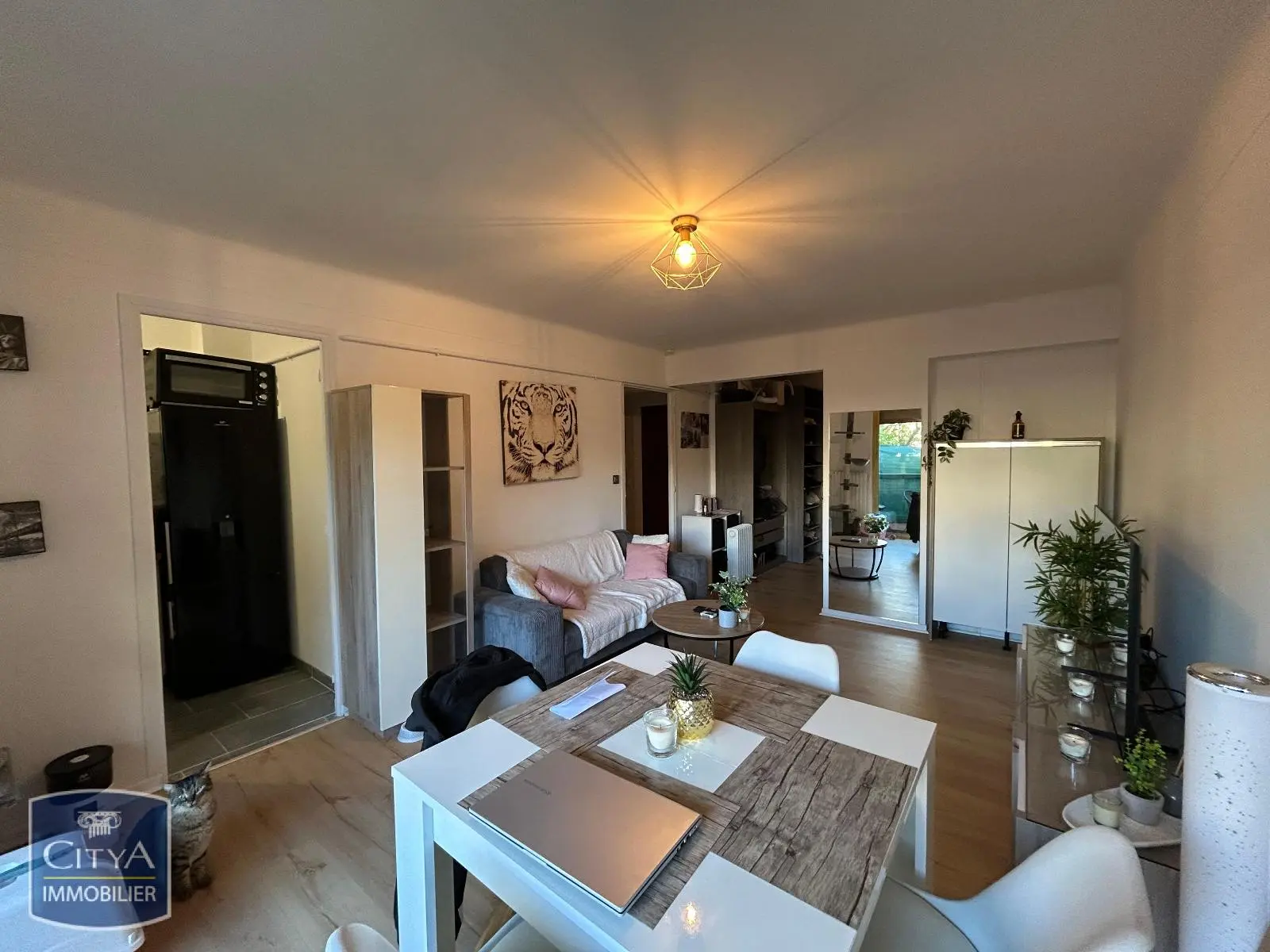 Photo 2 Appartement 1 pièce 36.17m²