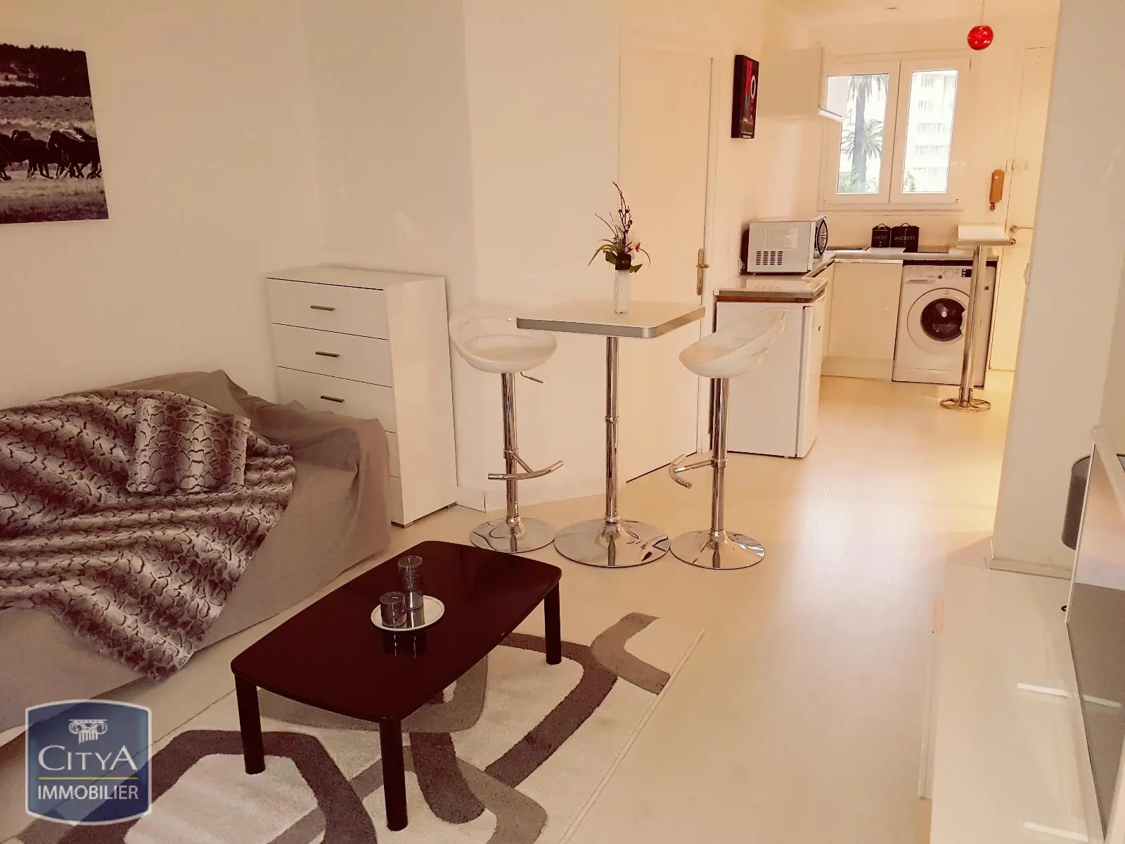 Photo 2 Appartement 1 pièce 28.1m²