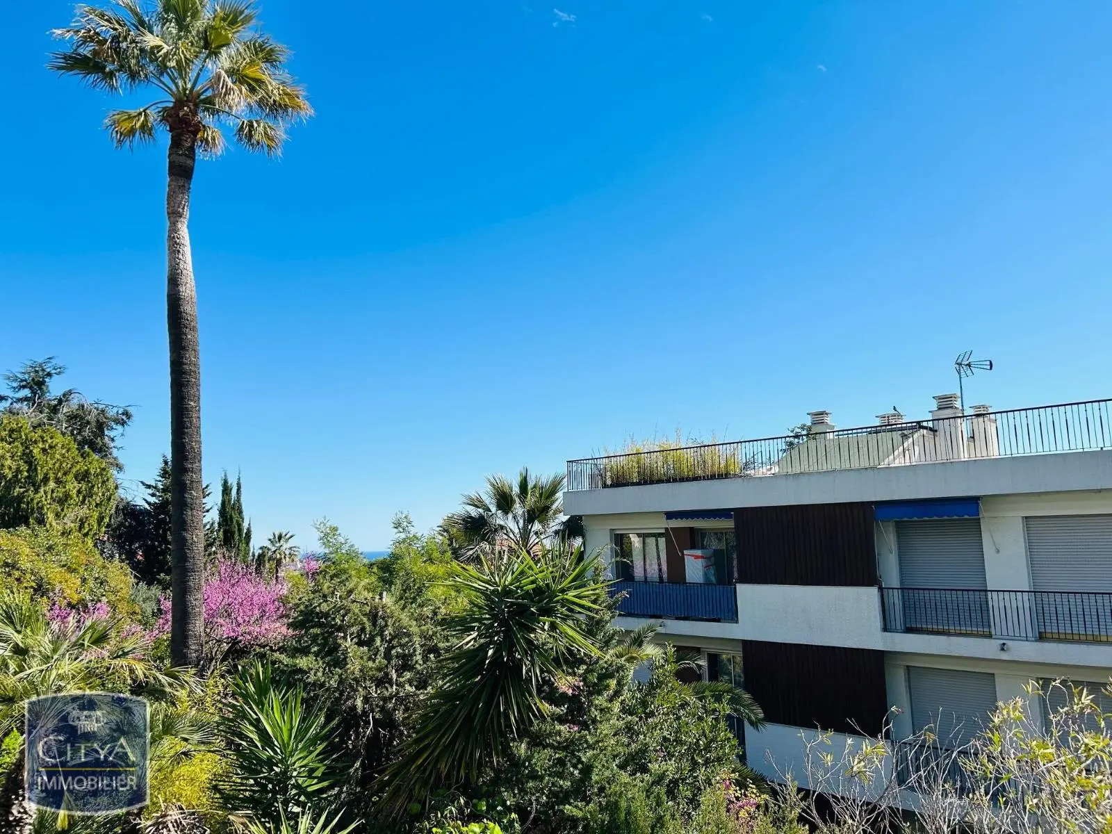 Photo 3 Appartement 3 pièces 80.16m²