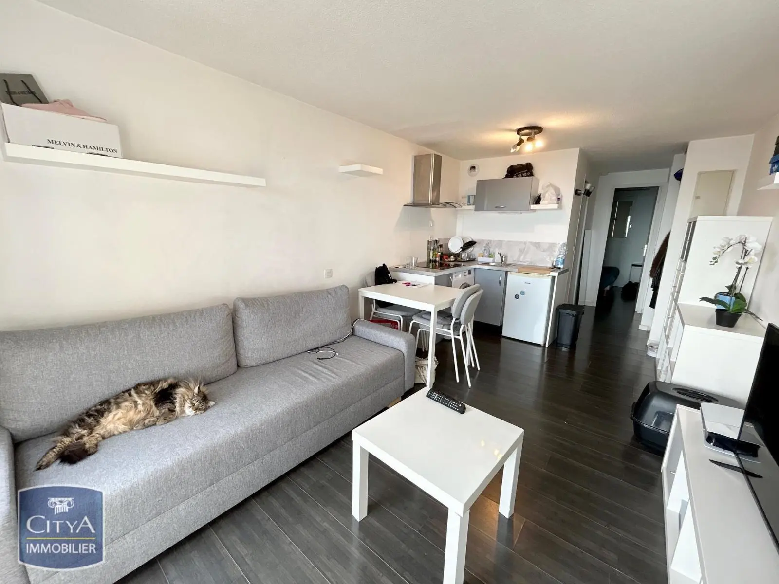 Photo 3 Appartement 2 pièces 25.96m²