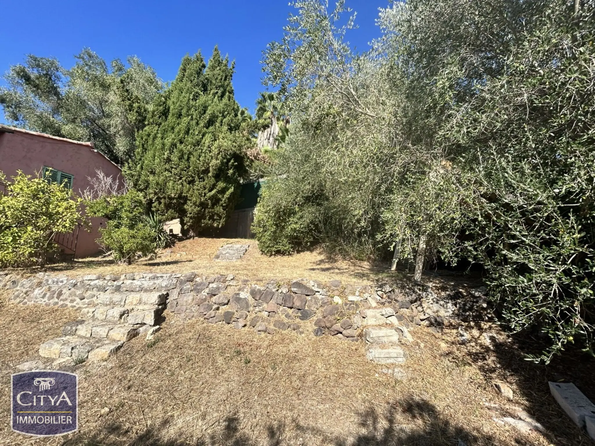 Photo 8 Terrain