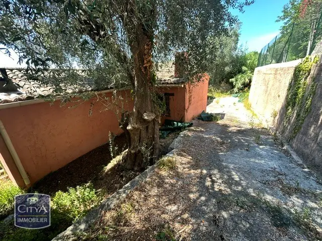 Photo 8 Terrain