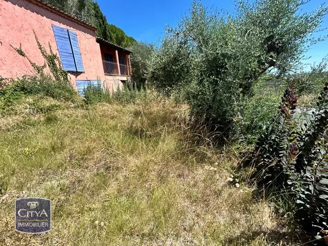 Photo 4 Terrain
