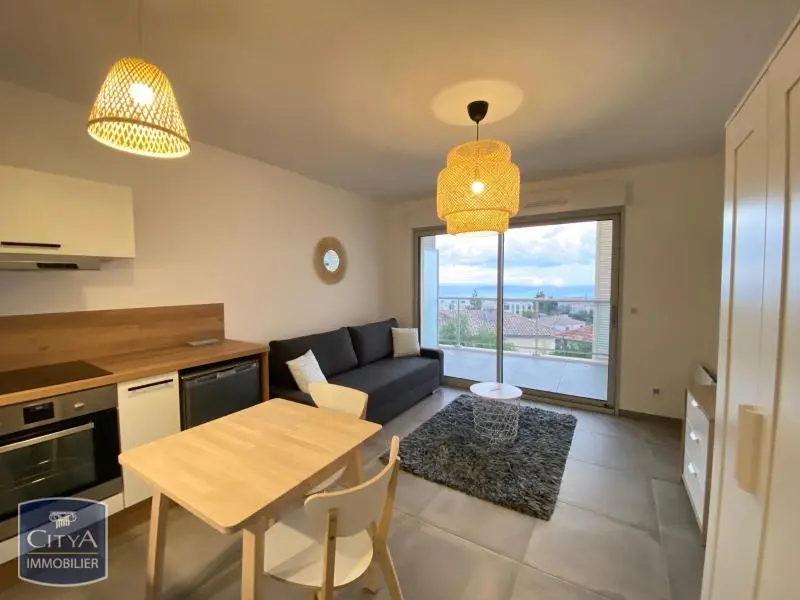 Photo 2 Appartement 1 pièce 25.95m²