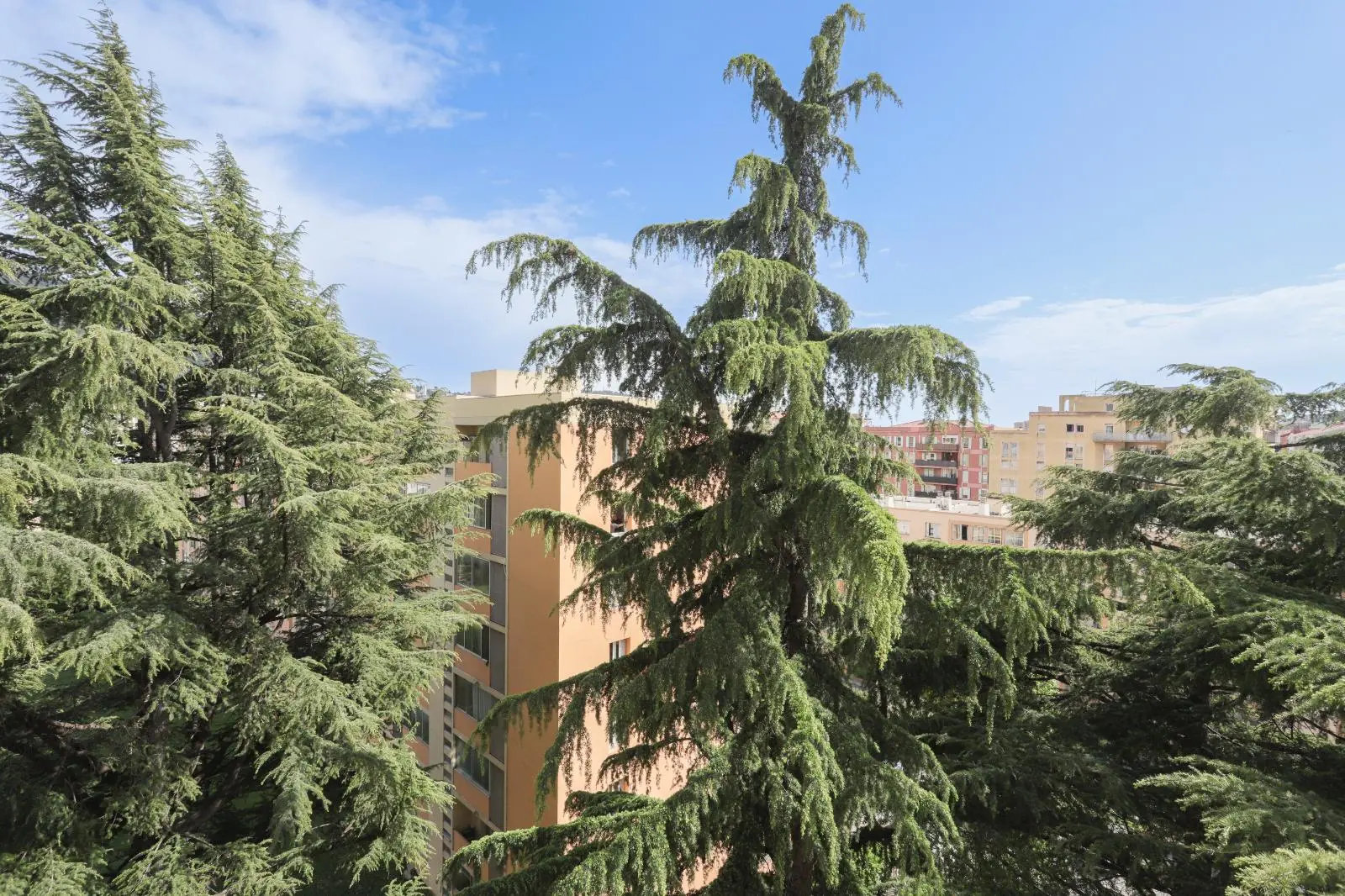 Photo 8 Appartement 2 pièces 44.46m²