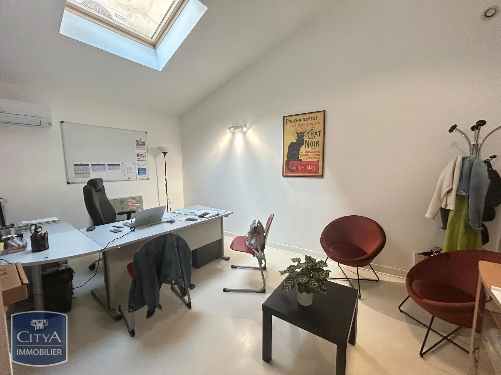 Photo 4 Local Professionnel