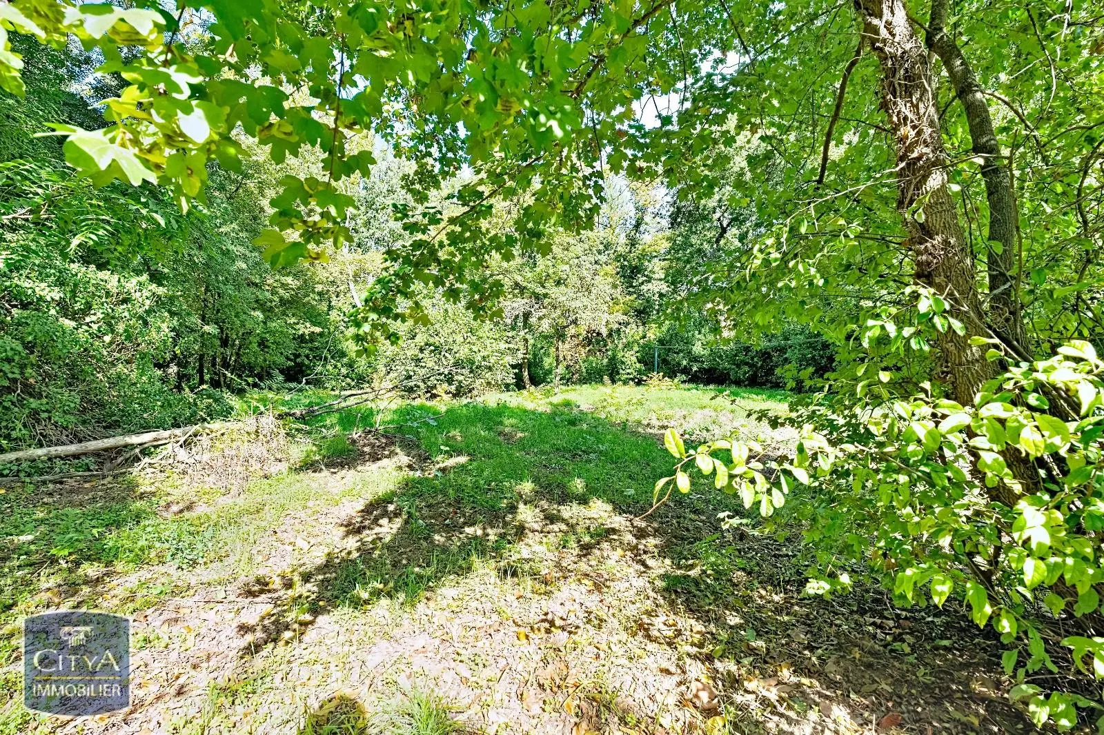 Photo 1 Appartement 1 pièce 28.38m²