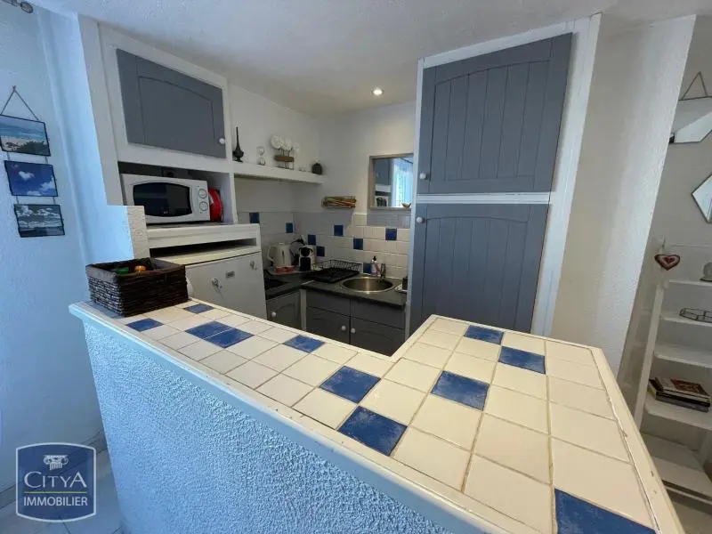 Photo 3 Appartement 1 pièce 23.33m²