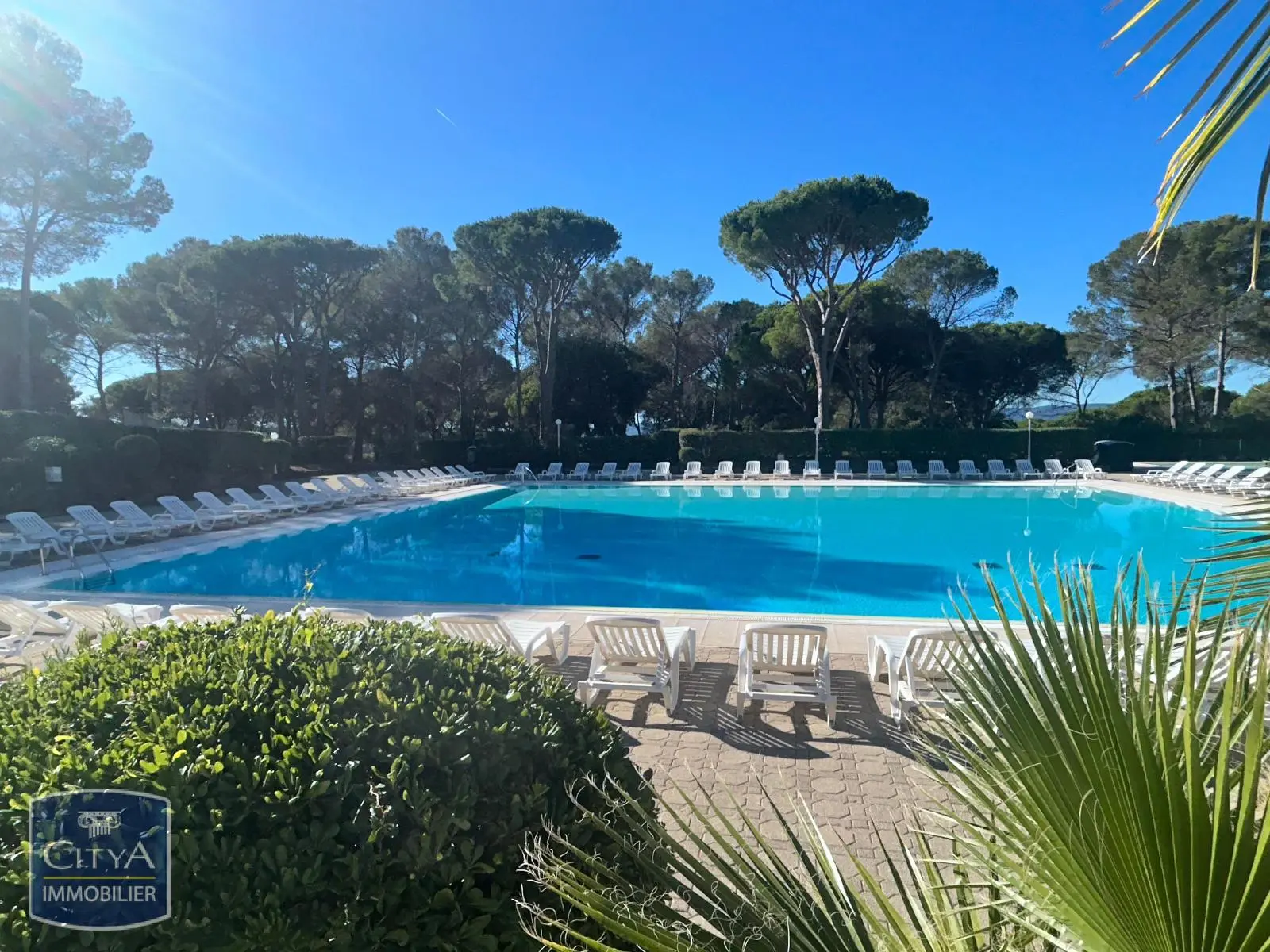 Photo 2 pour Appartement 1 pièce 25.83m² Photo 2 Appartement 1 pièce 25.83m²