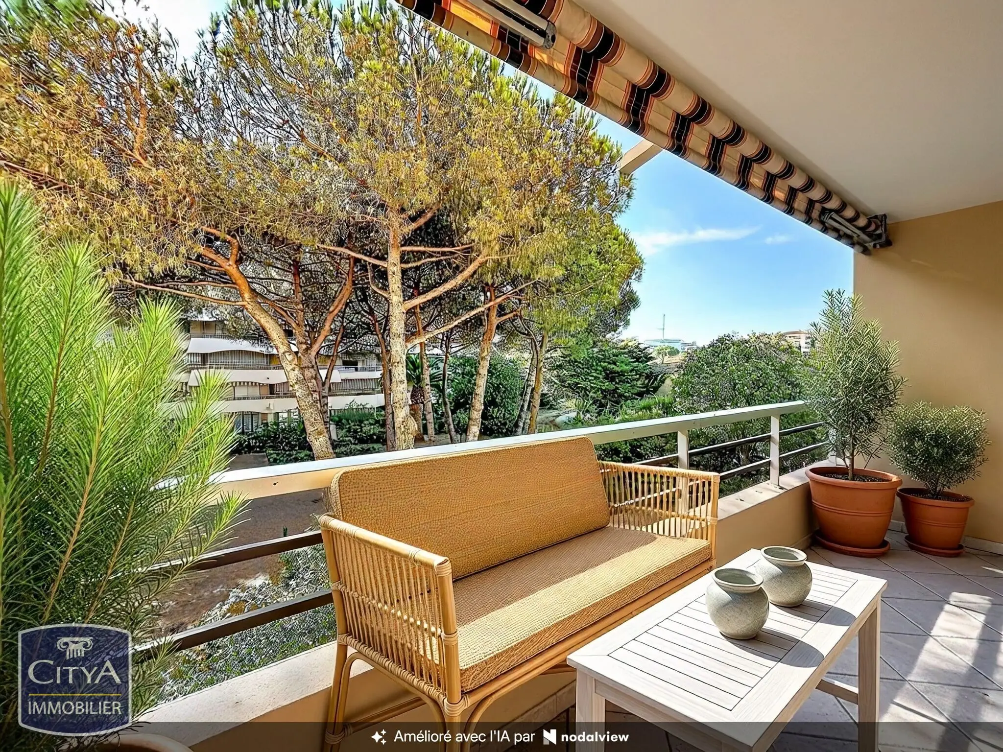 Photo 1 Appartement 1 pièce 31.22m²