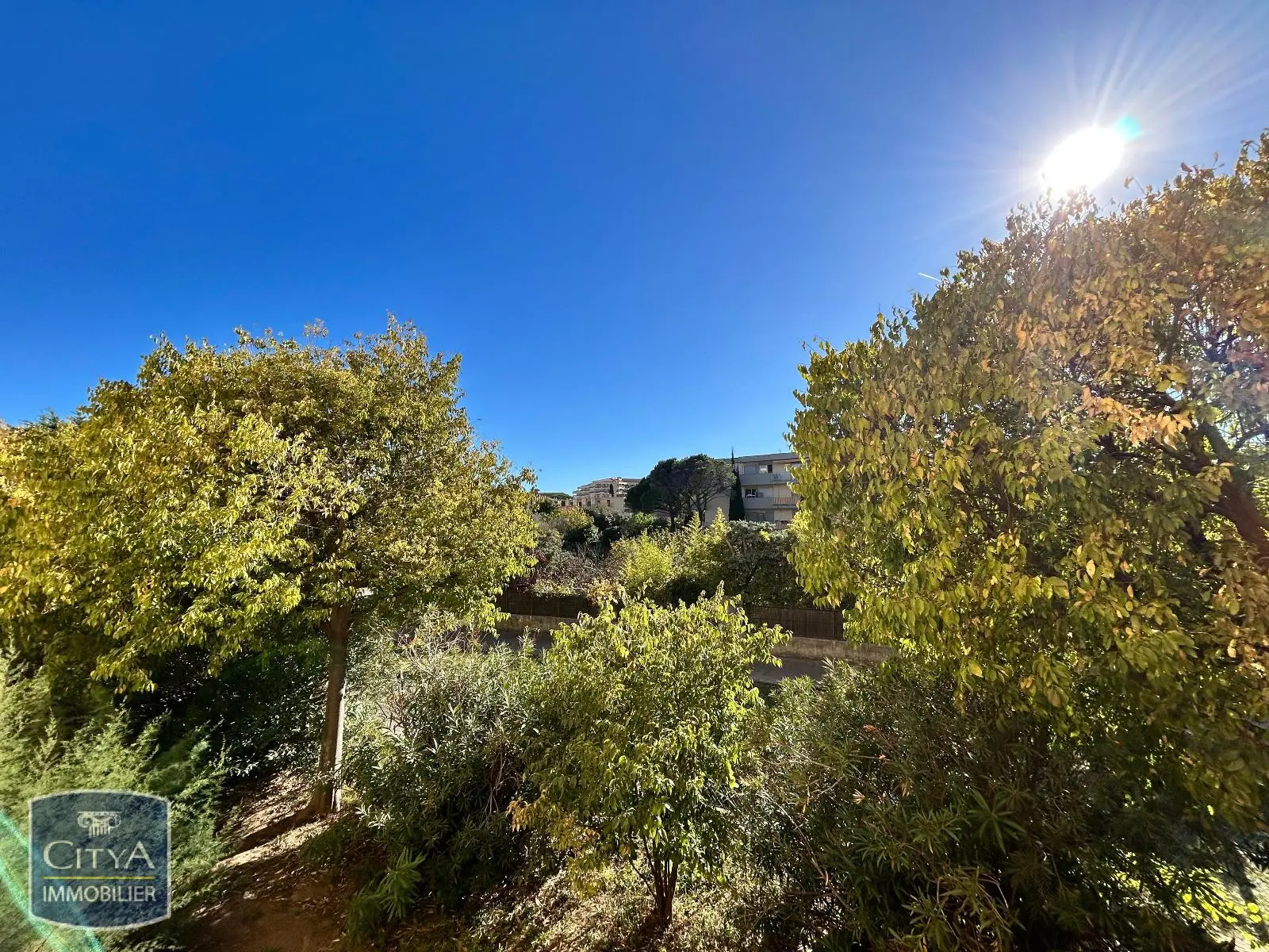 Photo 2 Appartement 1 pièce 21m²