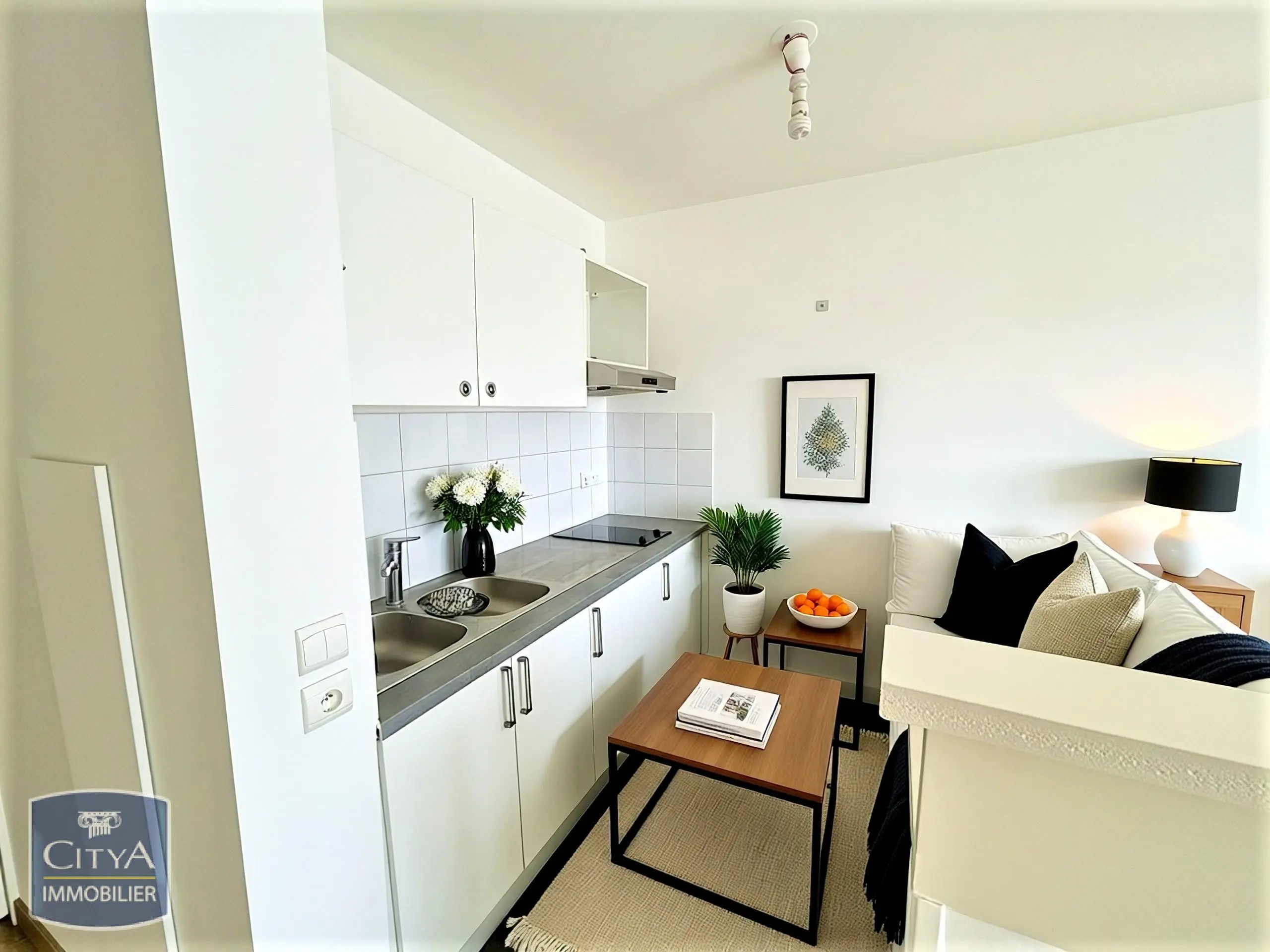 Photo 2 Appartement 1 pièce 33m²