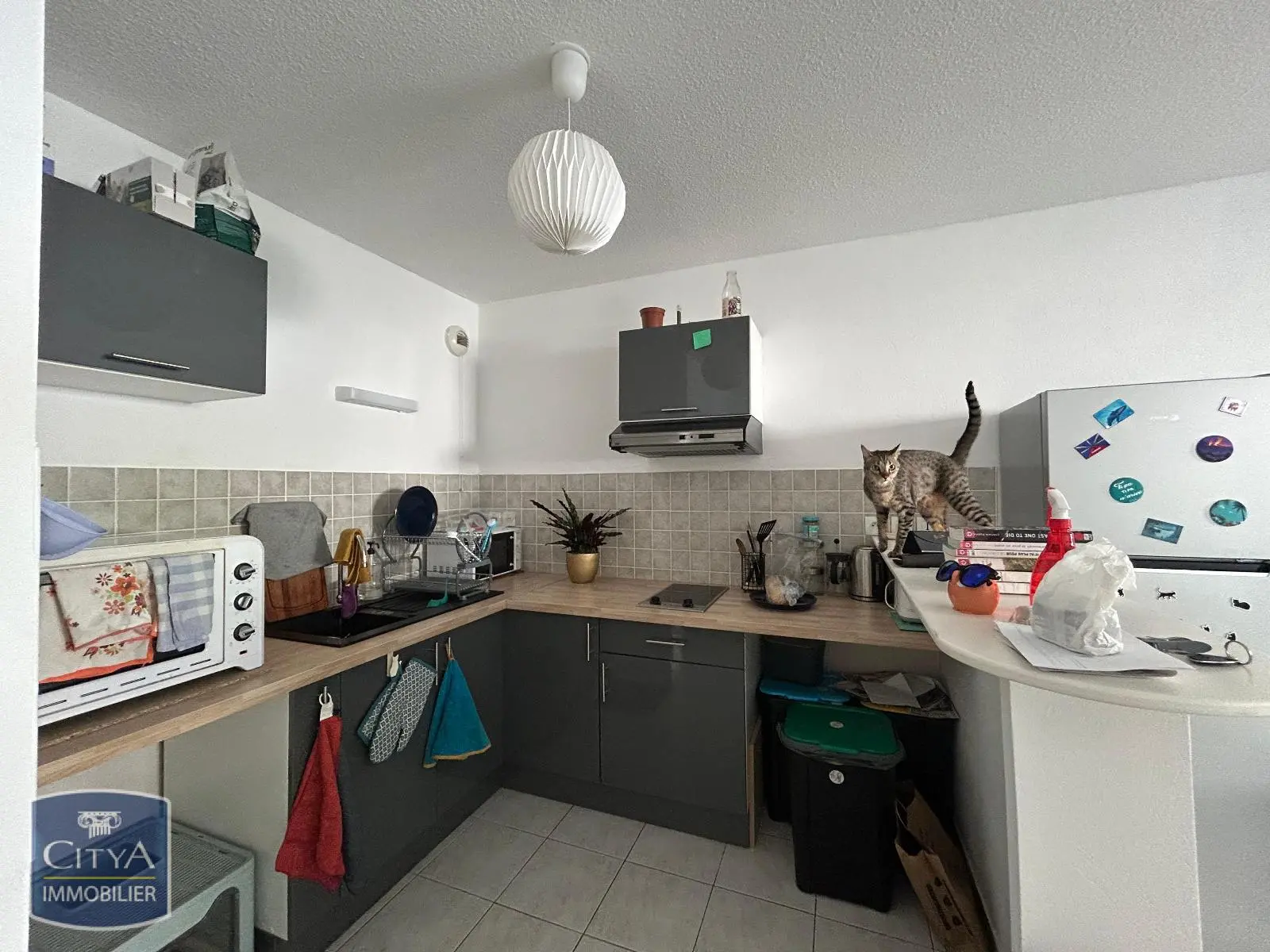 Photo 1 Appartement 2 pièces 45.9m²