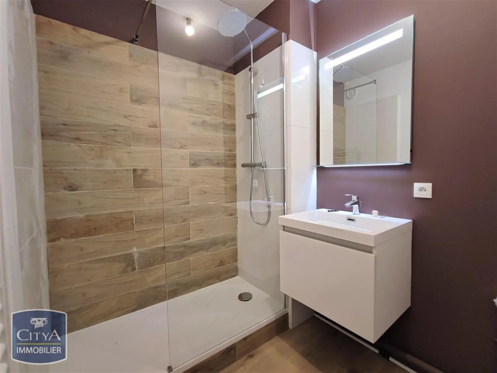 Photo 5 appartement Limoges