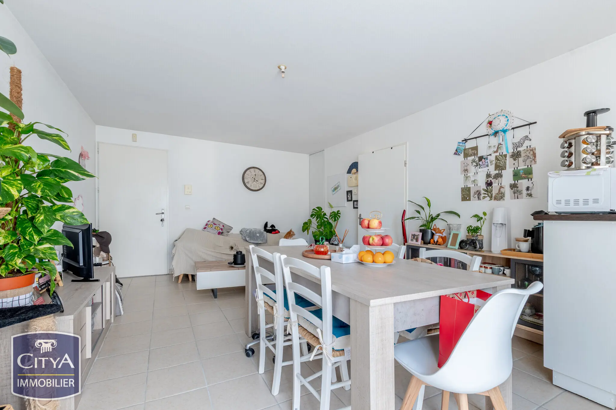 Photo 4 appartement Limoges