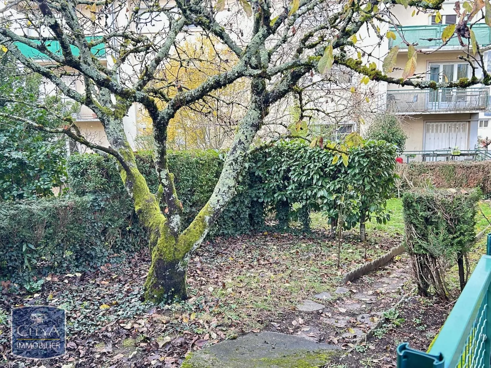 Photo 8 appartement Limoges